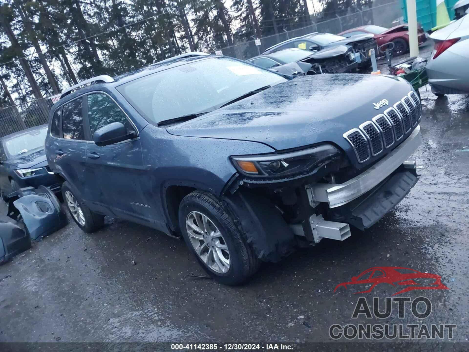 JEEP CHEROKEE 2019 - 1C4PJLCB5KD452743