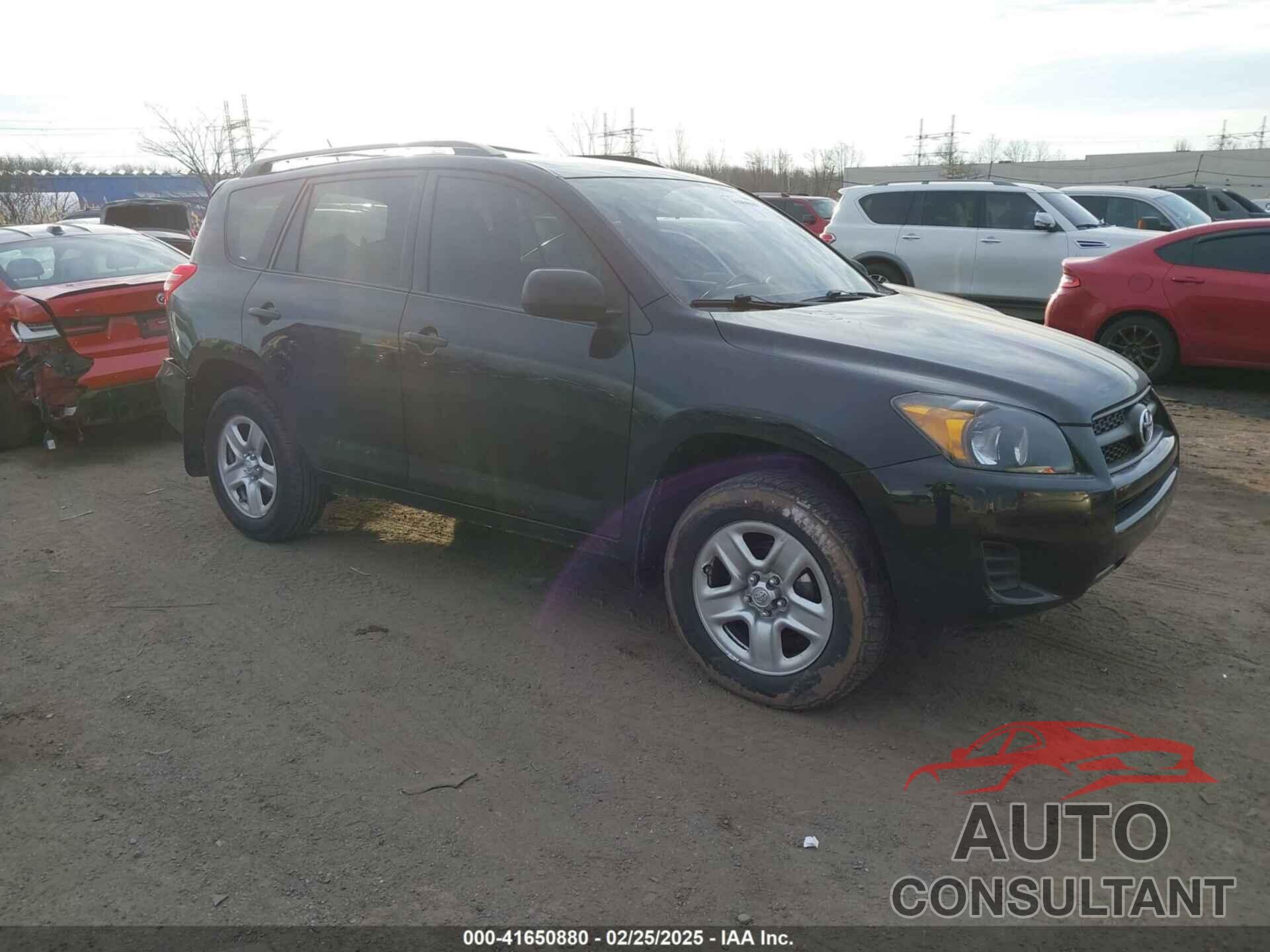 TOYOTA RAV4 2011 - 2T3BF4DV3BW146783