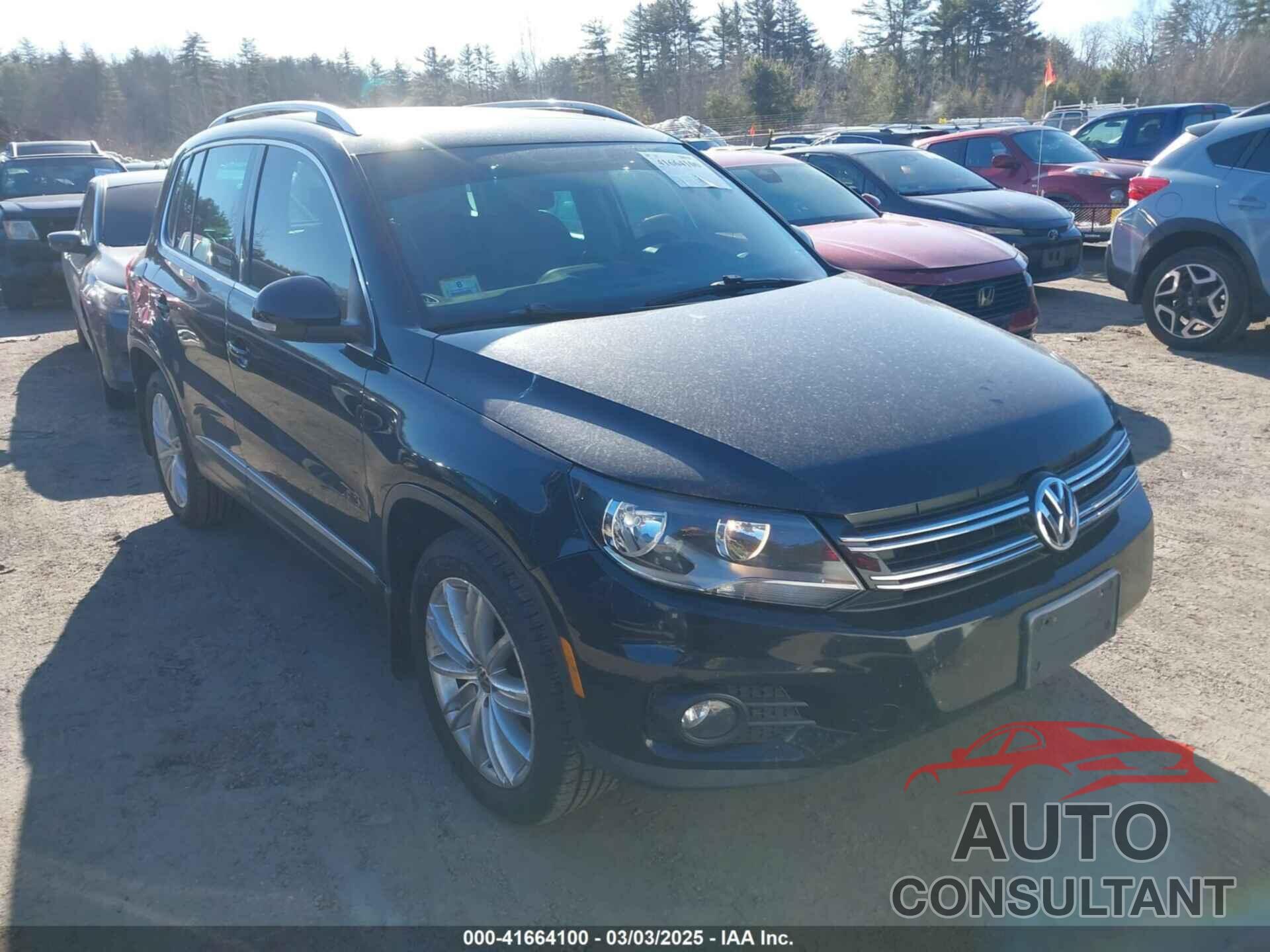 VOLKSWAGEN TIGUAN 2013 - WVGBV3AX3DW611128