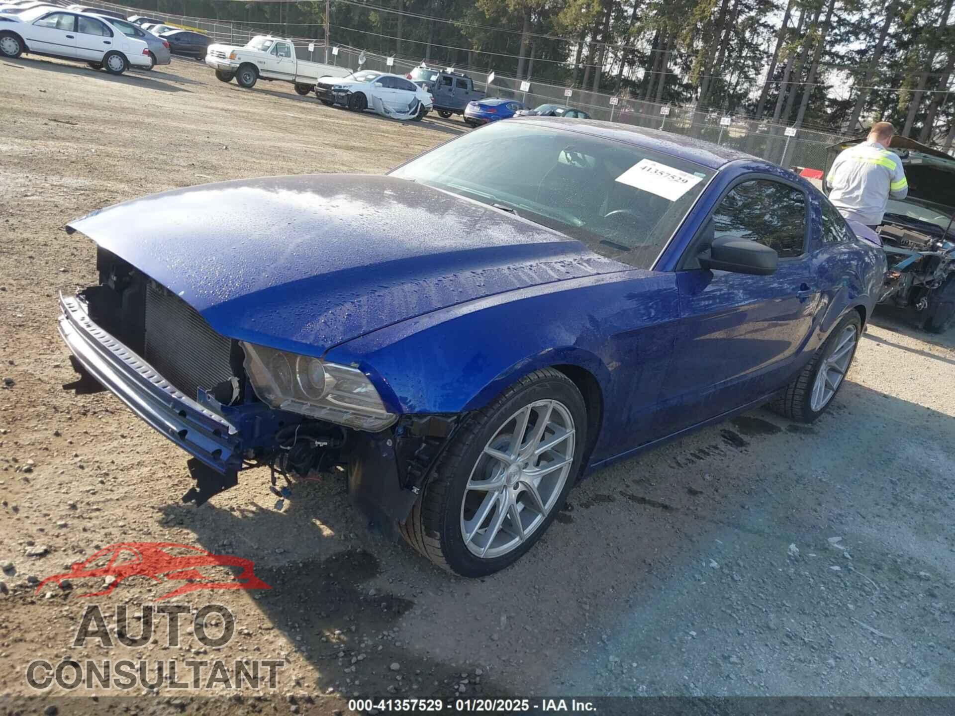 FORD MUSTANG 2013 - 1ZVBP8AM8D5262522