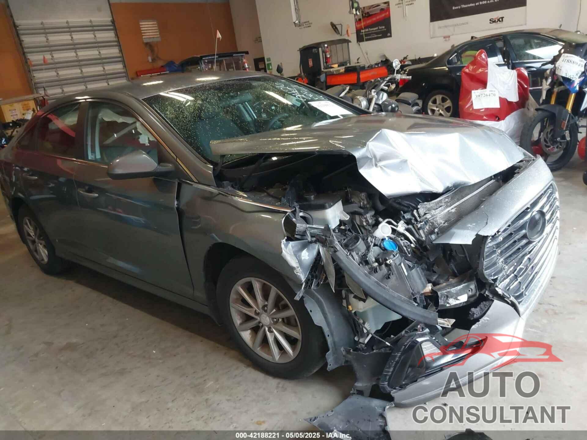 HYUNDAI SONATA 2019 - 5NPE24AF5KH742426