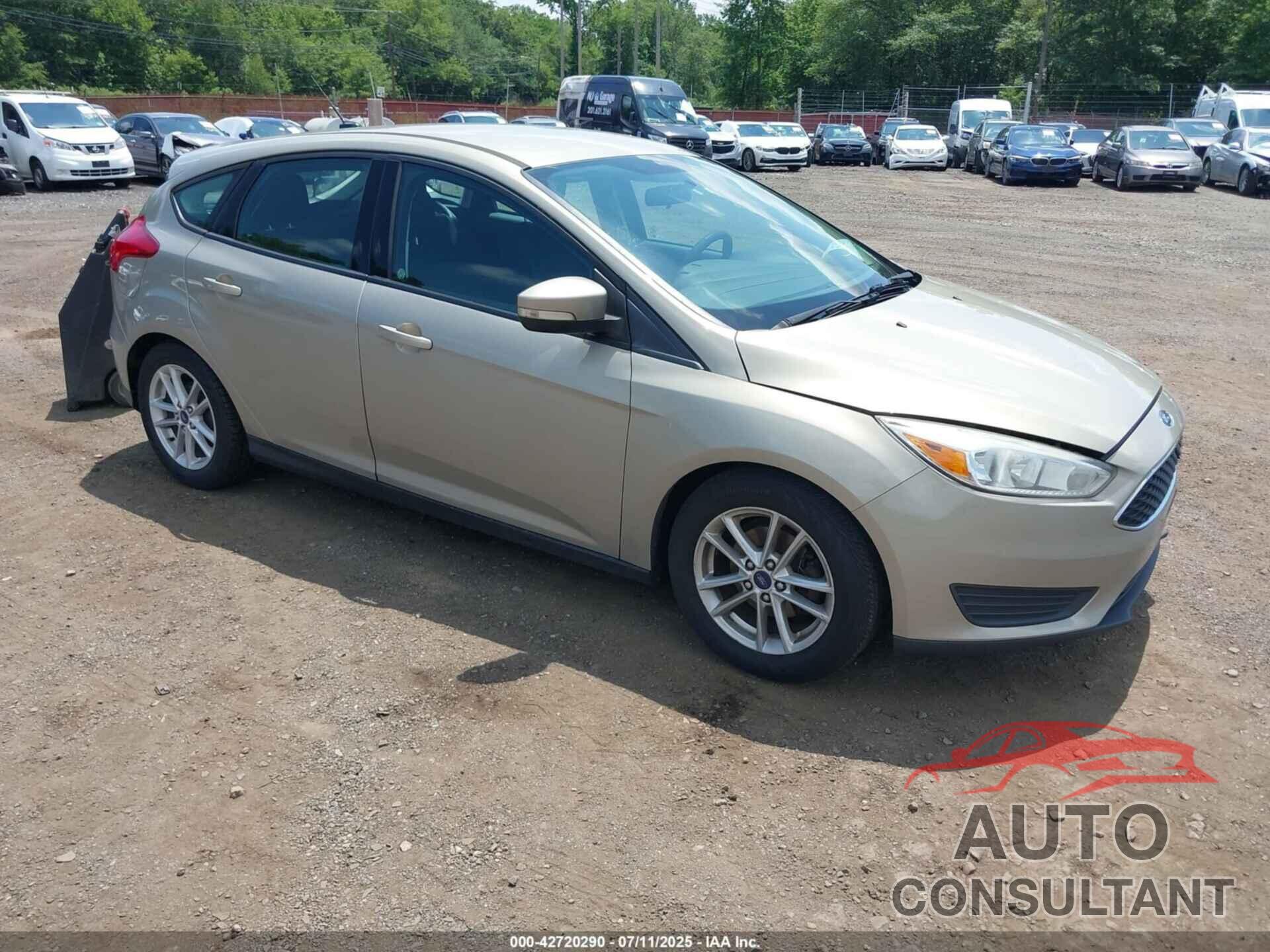 FORD FOCUS 2016 - 1FADP3K28GL354215