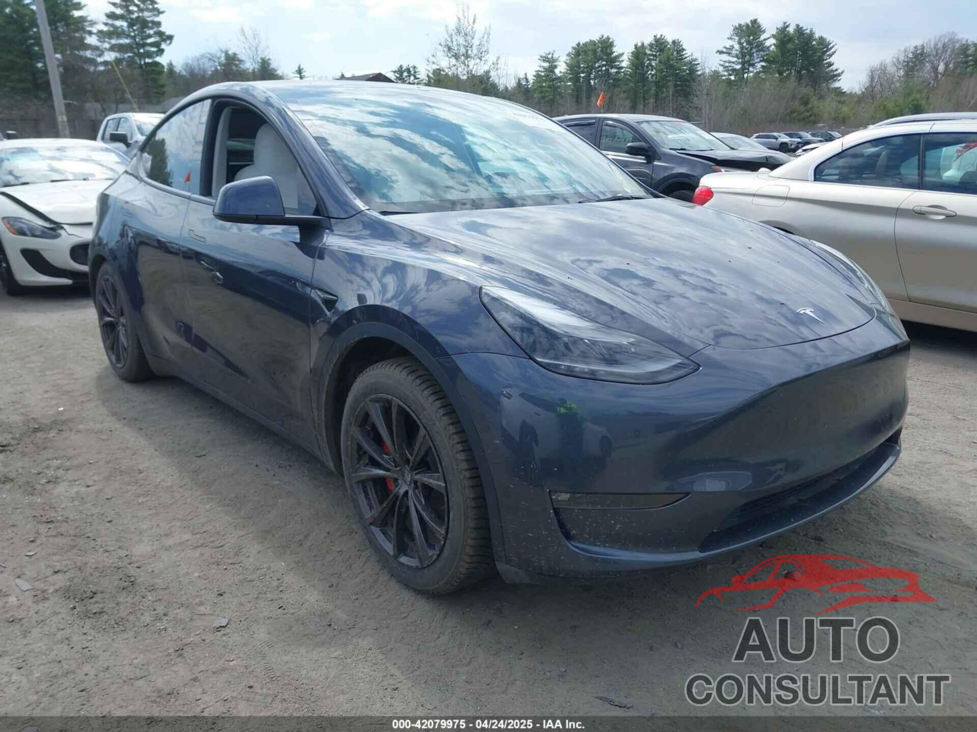 TESLA MODEL Y 2022 - 7SAYGDEF6NF558028