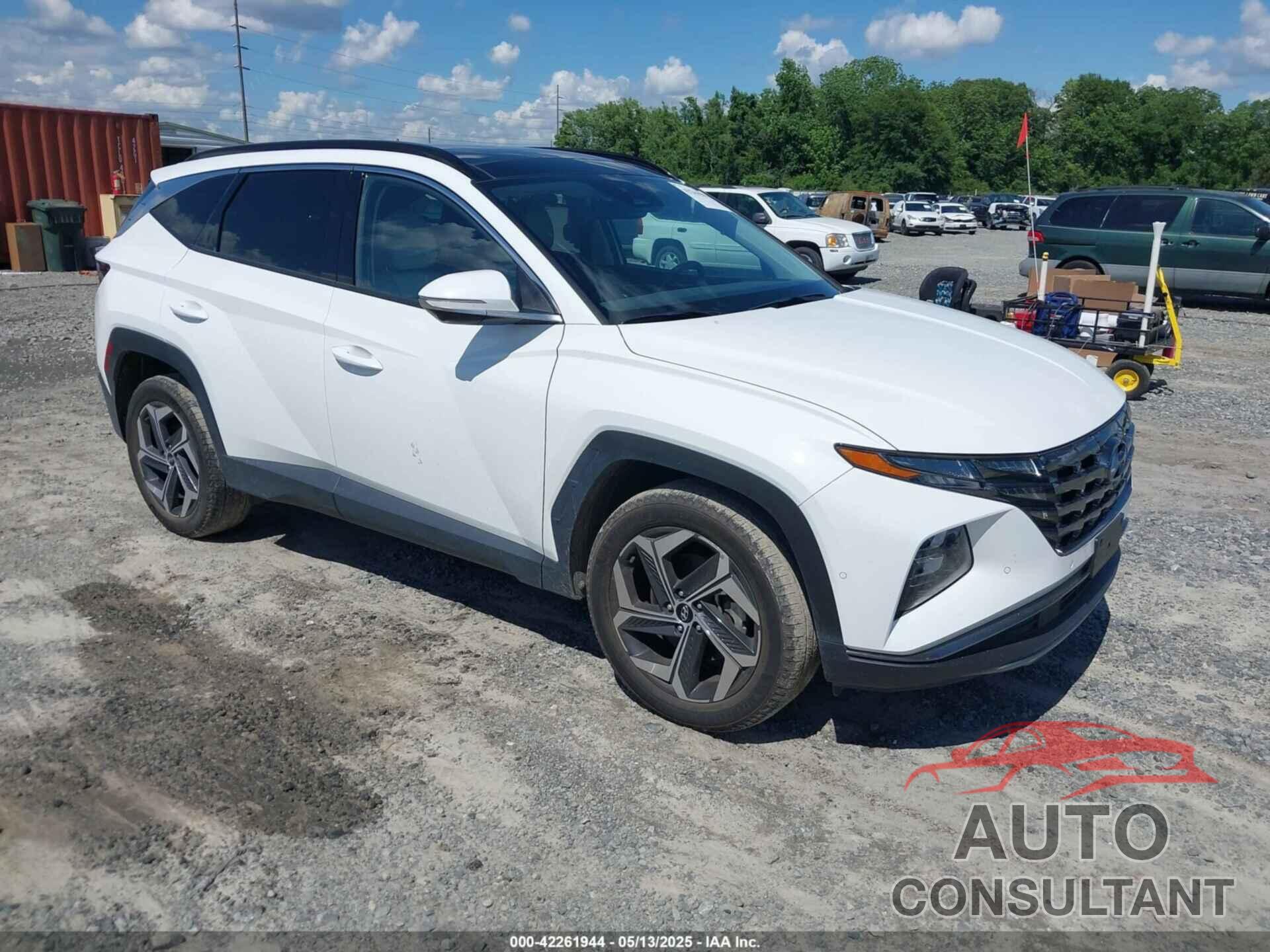 HYUNDAI TUCSON 2024 - 5NMJECDE6RH351893