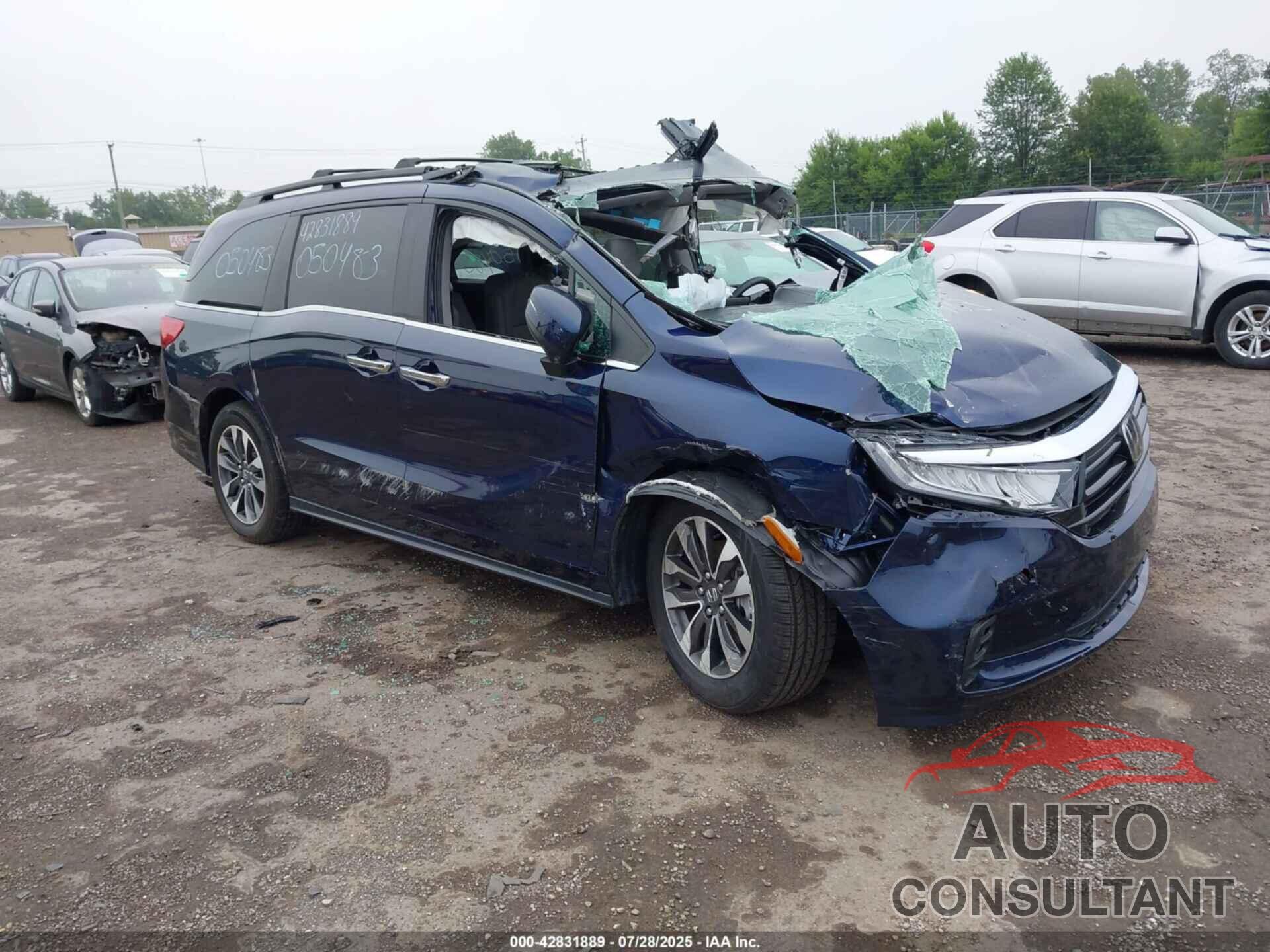 HONDA ODYSSEY 2024 - 5FNRL6H67RB050483