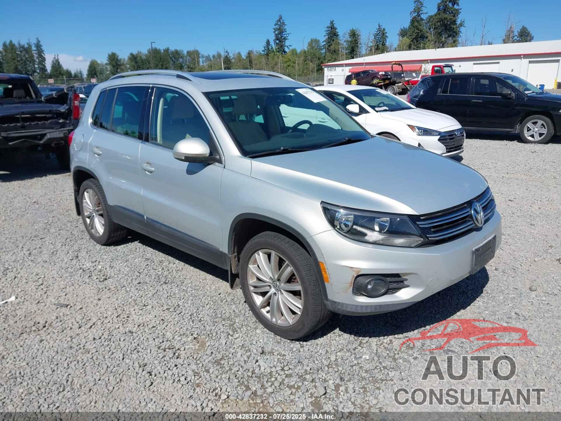 VOLKSWAGEN TIGUAN 2013 - WVGBV3AX9DW579110