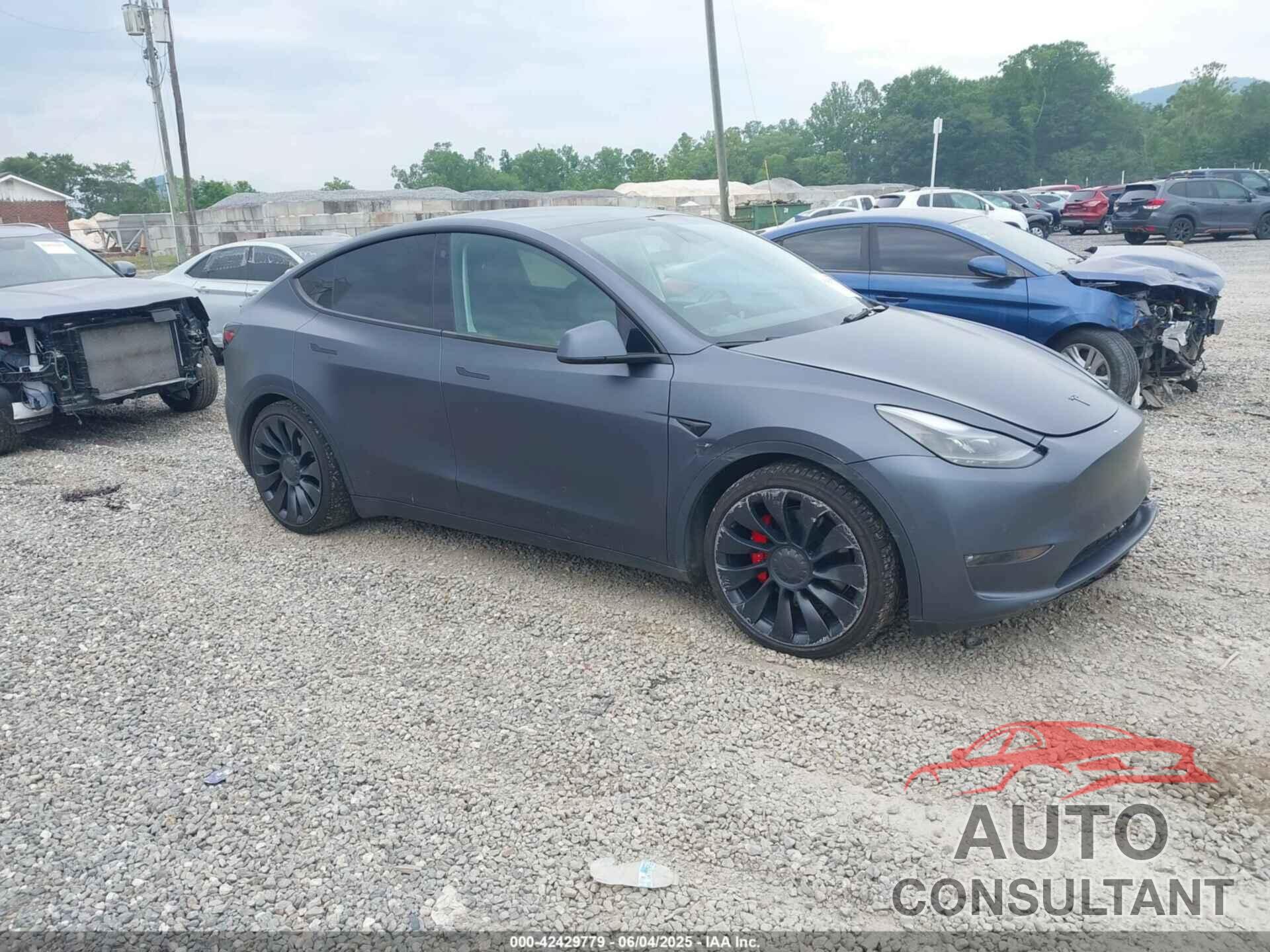 TESLA MODEL Y 2022 - 7SAYGDEF0NF446700