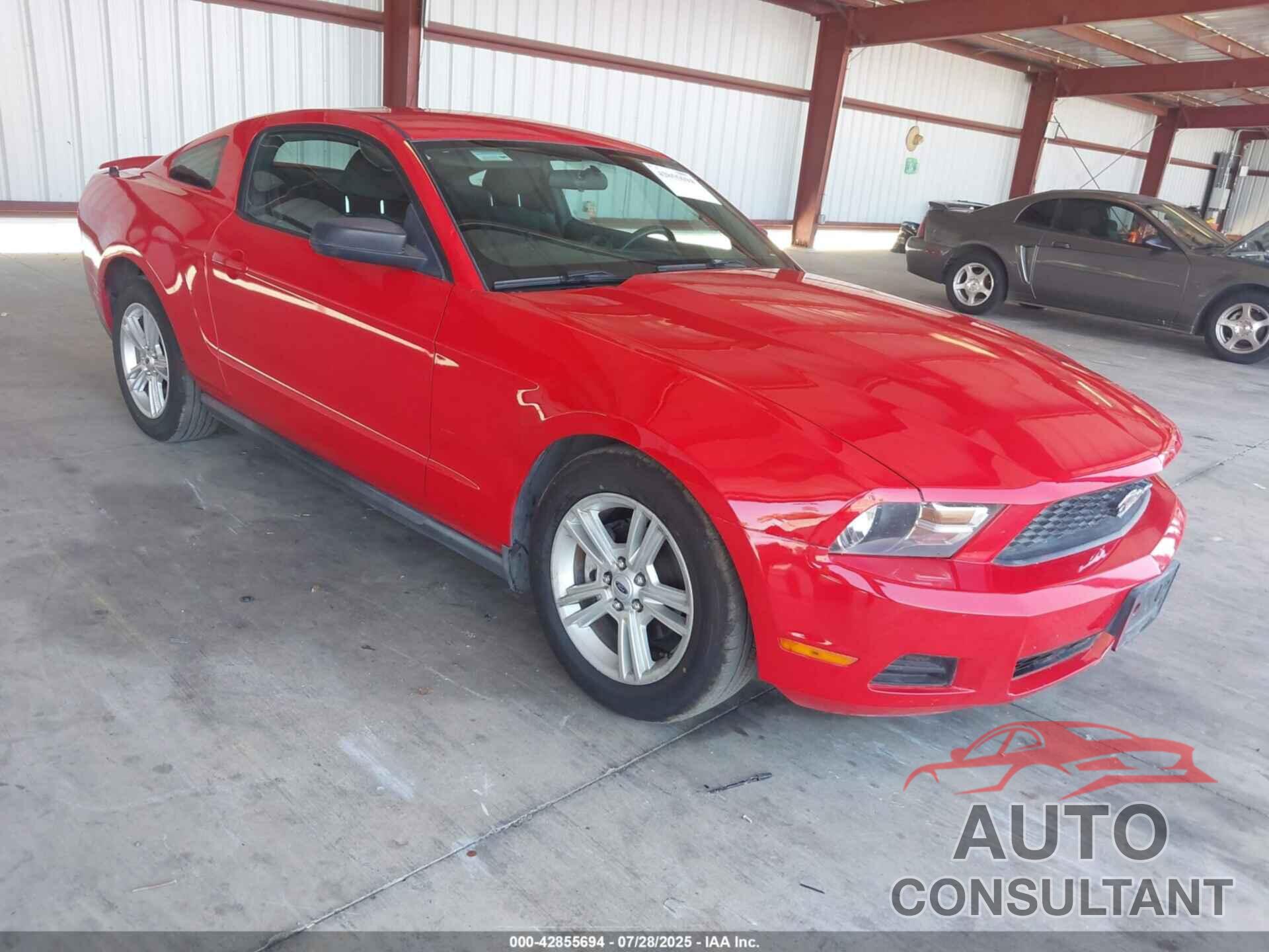 FORD MUSTANG 2010 - 1ZVBP8AN9A5125660