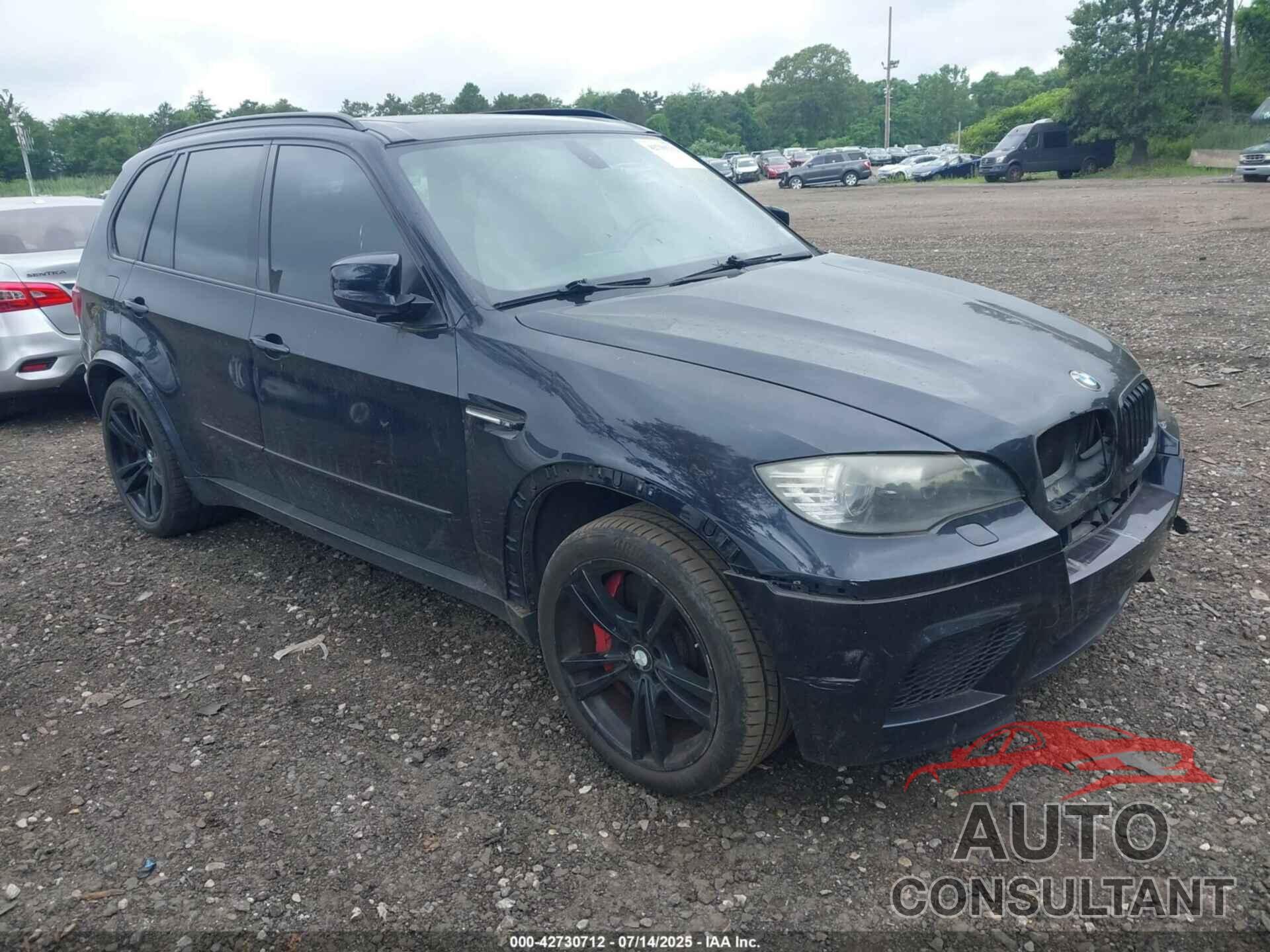 BMW X5 M 2010 - 5YMGY0C57ALK25117