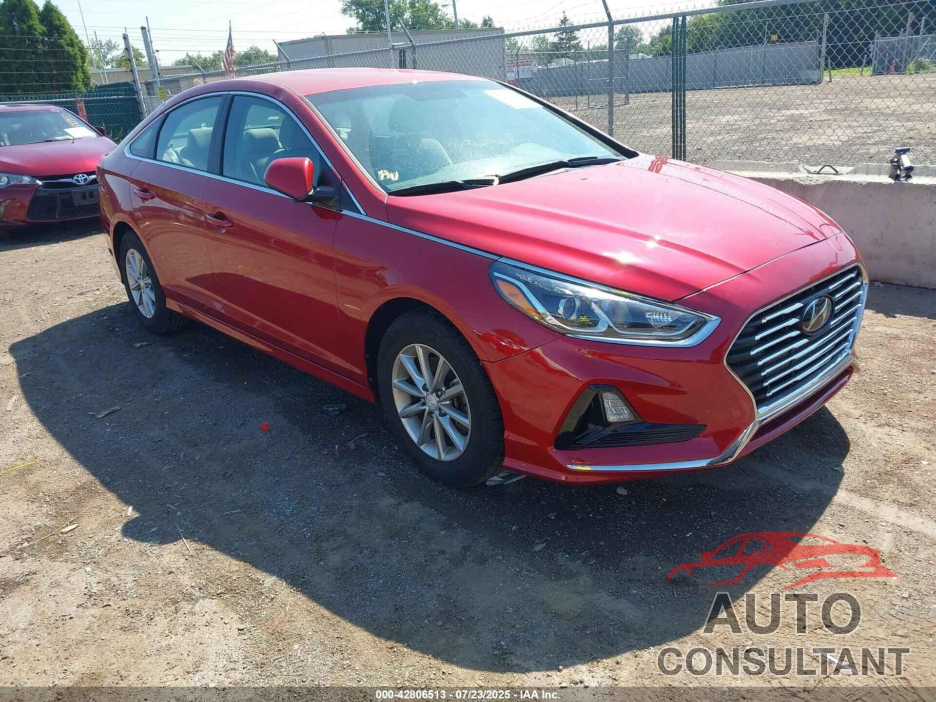 HYUNDAI SONATA 2019 - 5NPE24AF7KH754559
