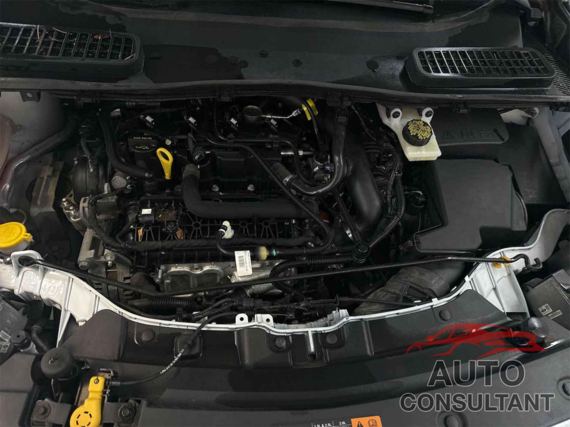 FORD ESCAPE 2019 - 1FMCU9HD5KUC07956