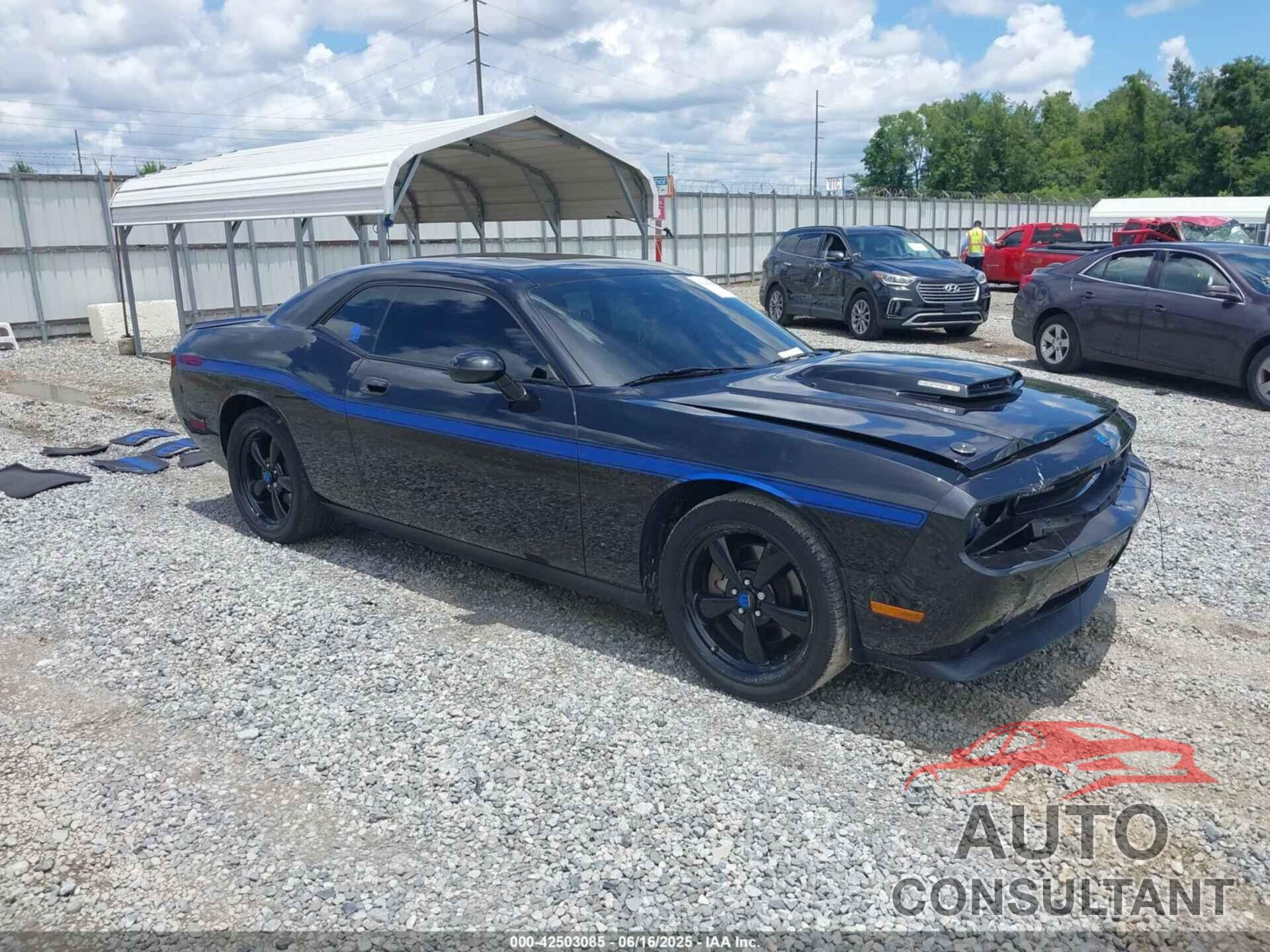 DODGE CHALLENGER 2010 - 2B3CJ5DT4AH296165