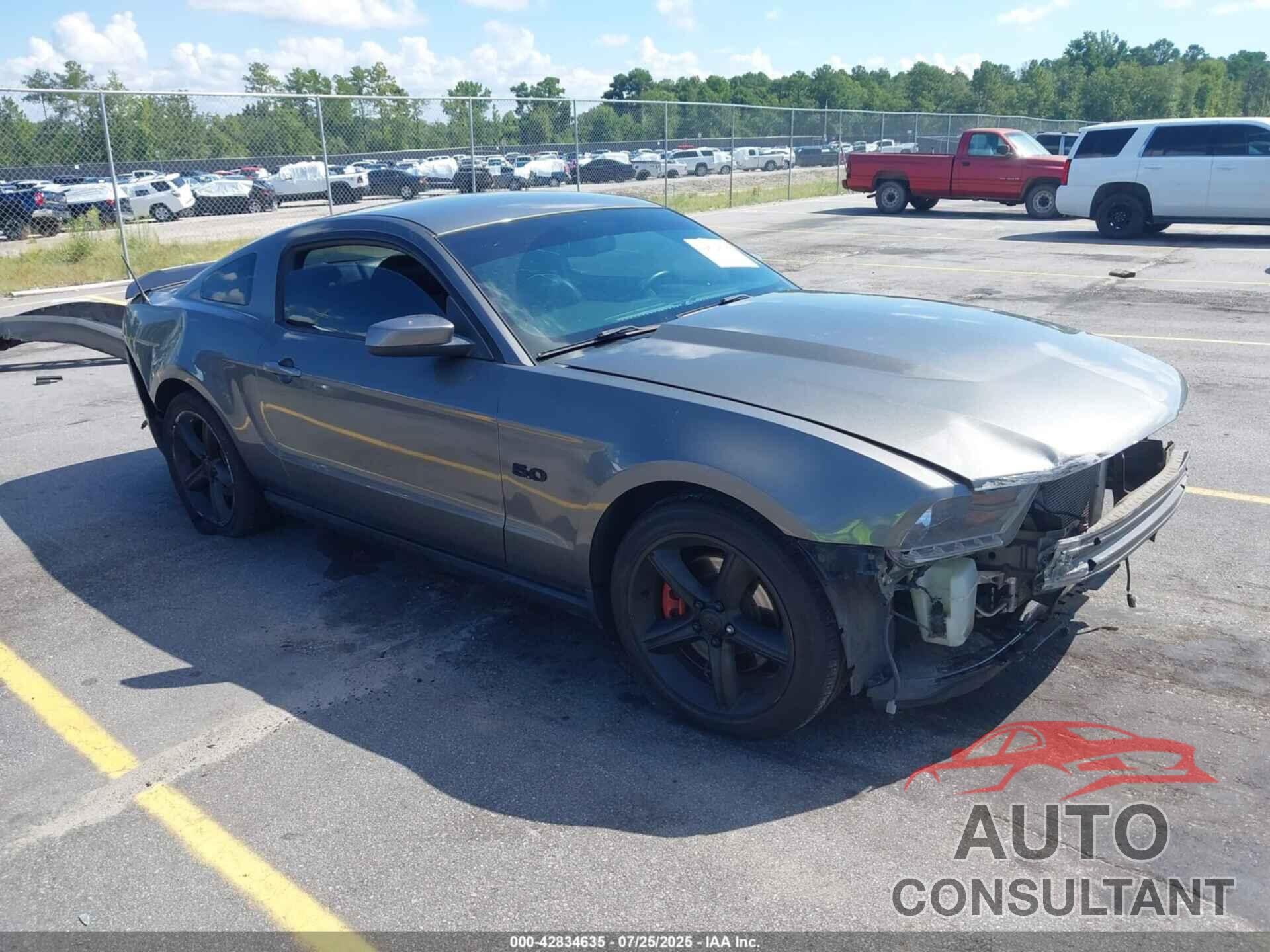 FORD MUSTANG 2011 - 1ZVBP8CF8B5130498