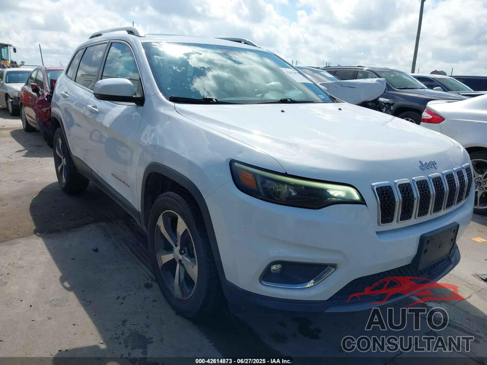 JEEP CHEROKEE 2019 - 1C4PJMDN7KD299412