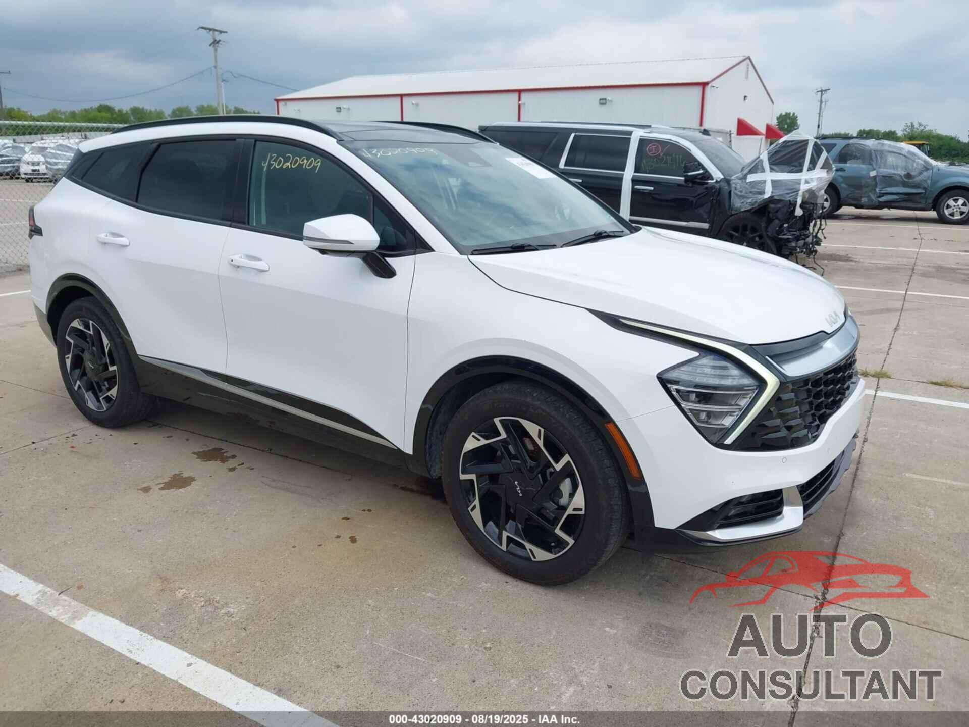 KIA SPORTAGE 2023 - 5XYK53AF3PG018866