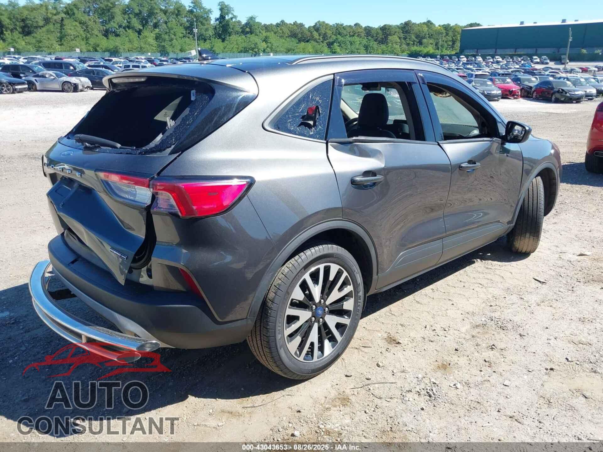 FORD ESCAPE 2020 - 1FMCU9BZ0LUA43926