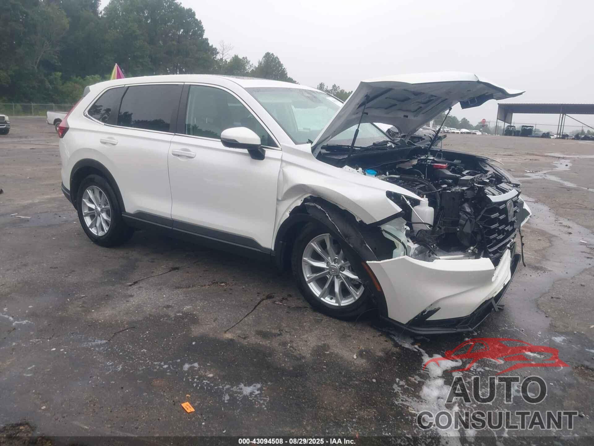 HONDA CR-V 2024 - 7FARS3H73RE002039