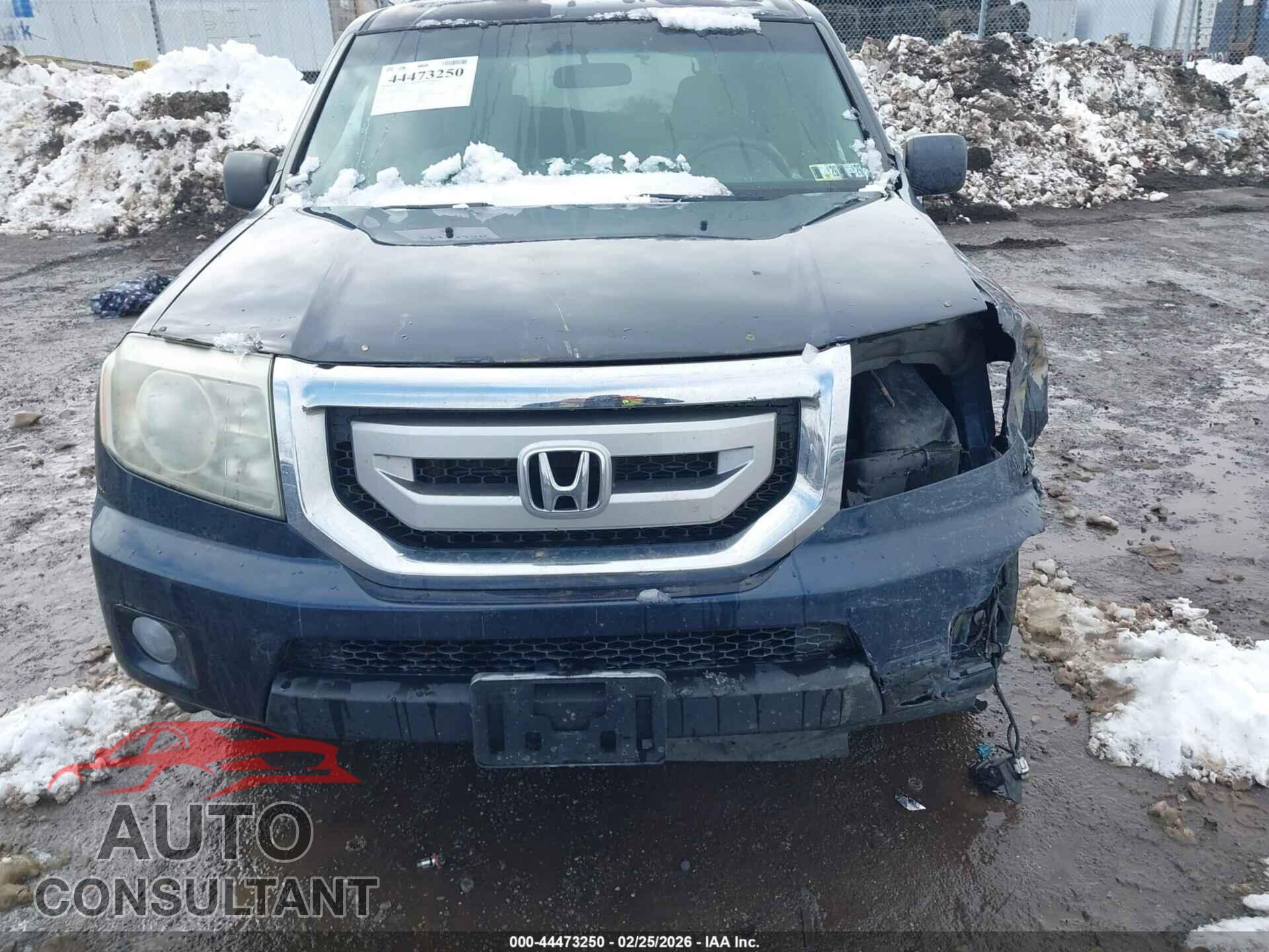 HONDA PILOT 2011 - 5FNYF4H4XBB045127