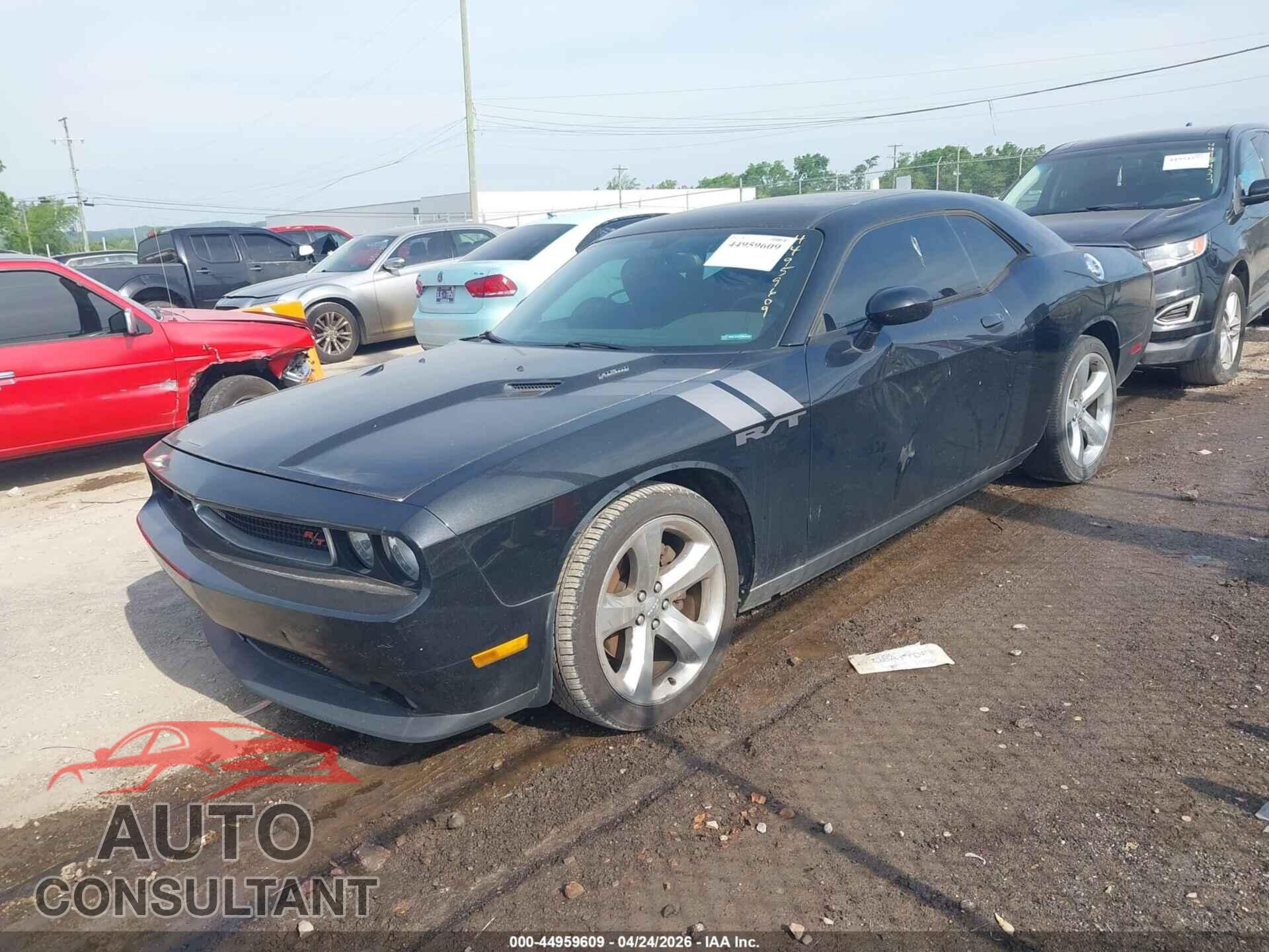 DODGE CHALLENGER 2013 - 2C3CDYBT3DH740493