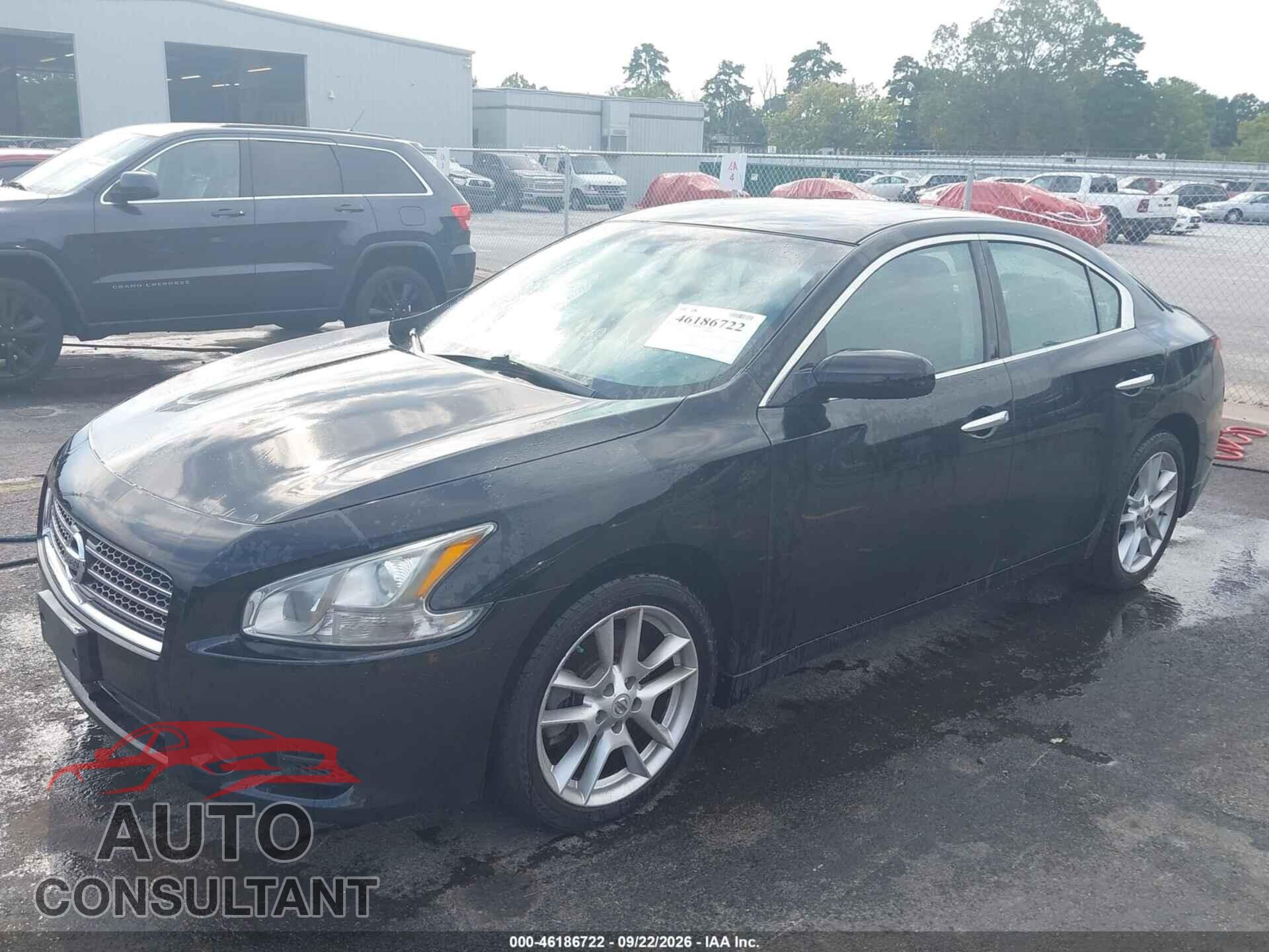 NISSAN MAXIMA 2011 - 1N4AA5AP6BC855111