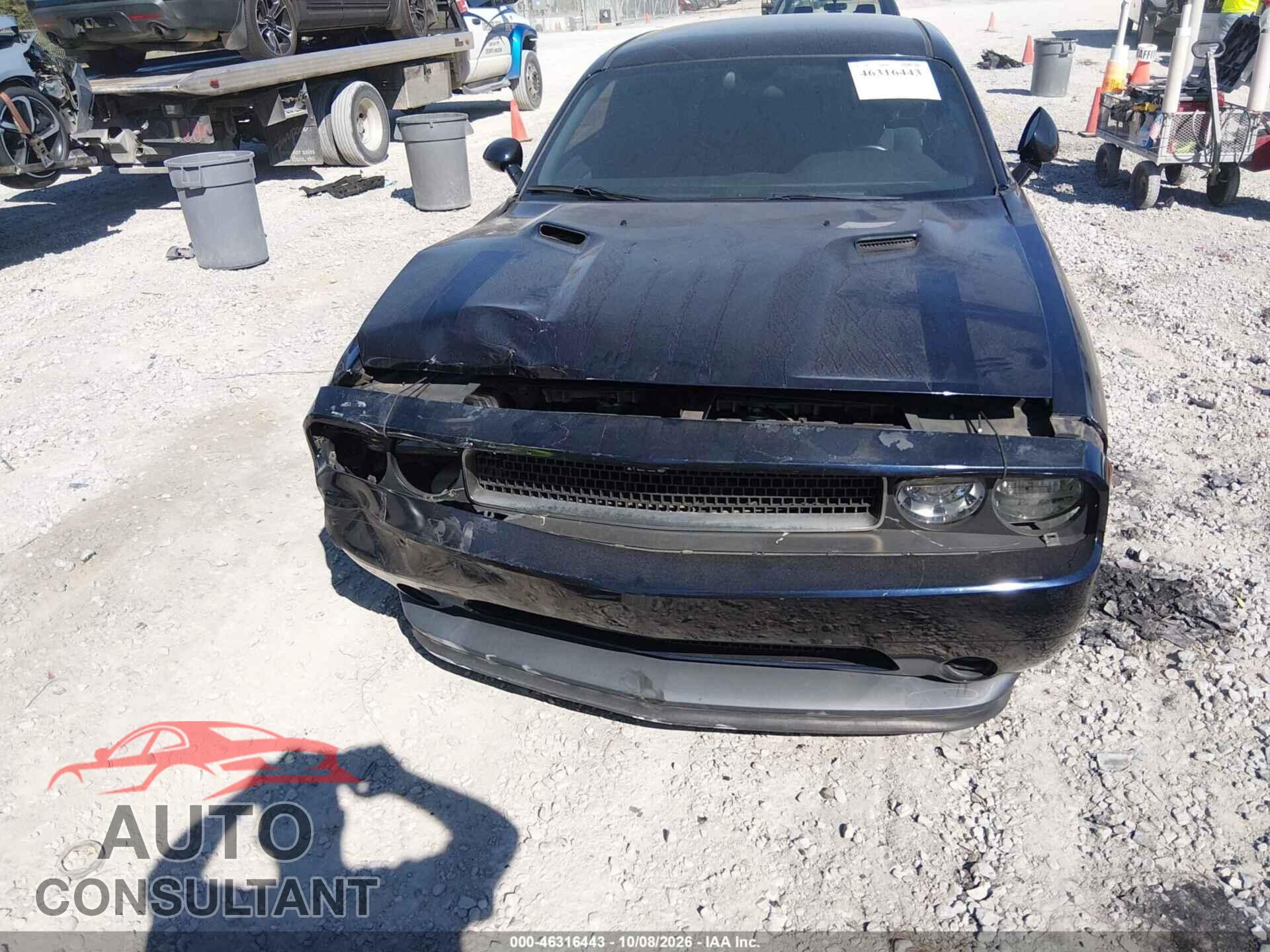 DODGE CHALLENGER 2012 - 2C3CDYAG4CH275418