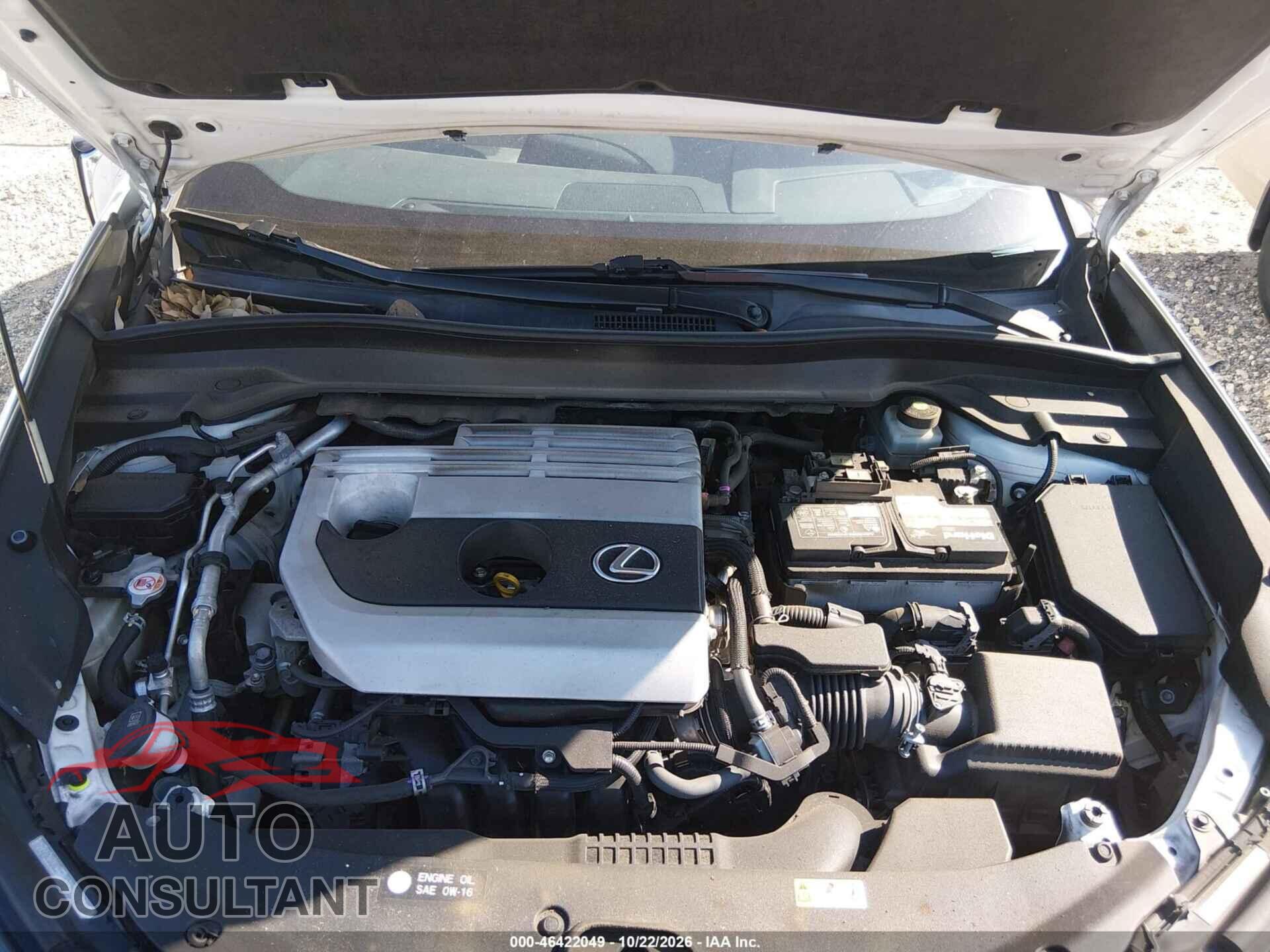 LEXUS UX 200 2020 - JTHP3JBH7L2024978