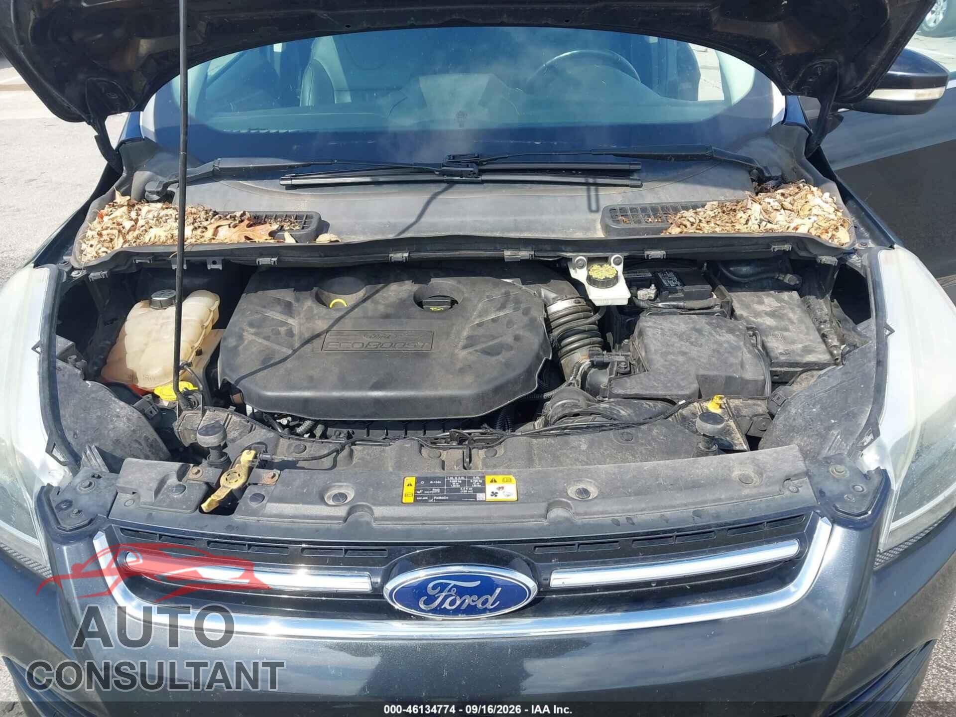 FORD ESCAPE 2013 - 1FMCU9J90DUB38005