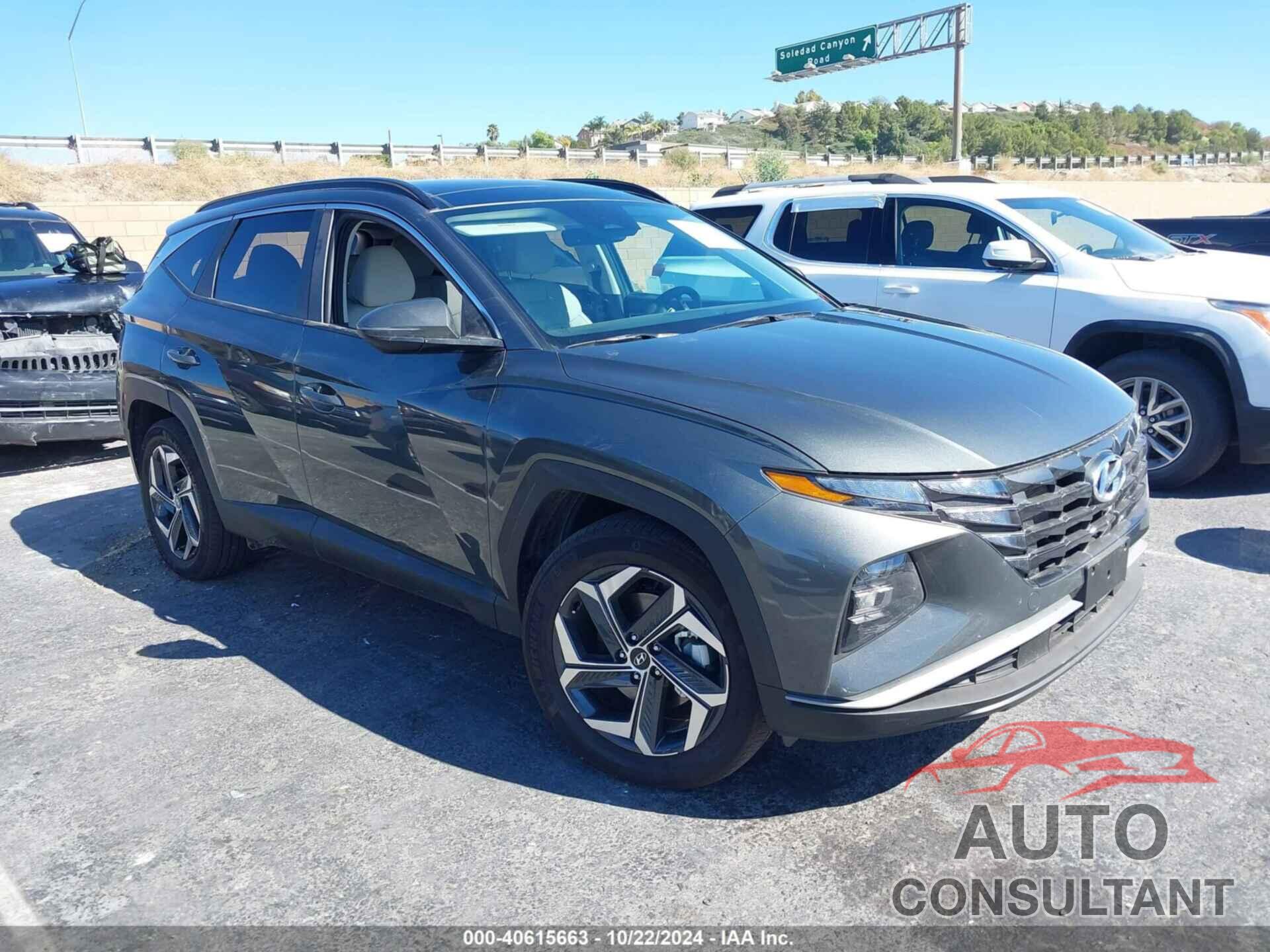 HYUNDAI TUCSON HYBRID 2024 - KM8JCCD10RU226041