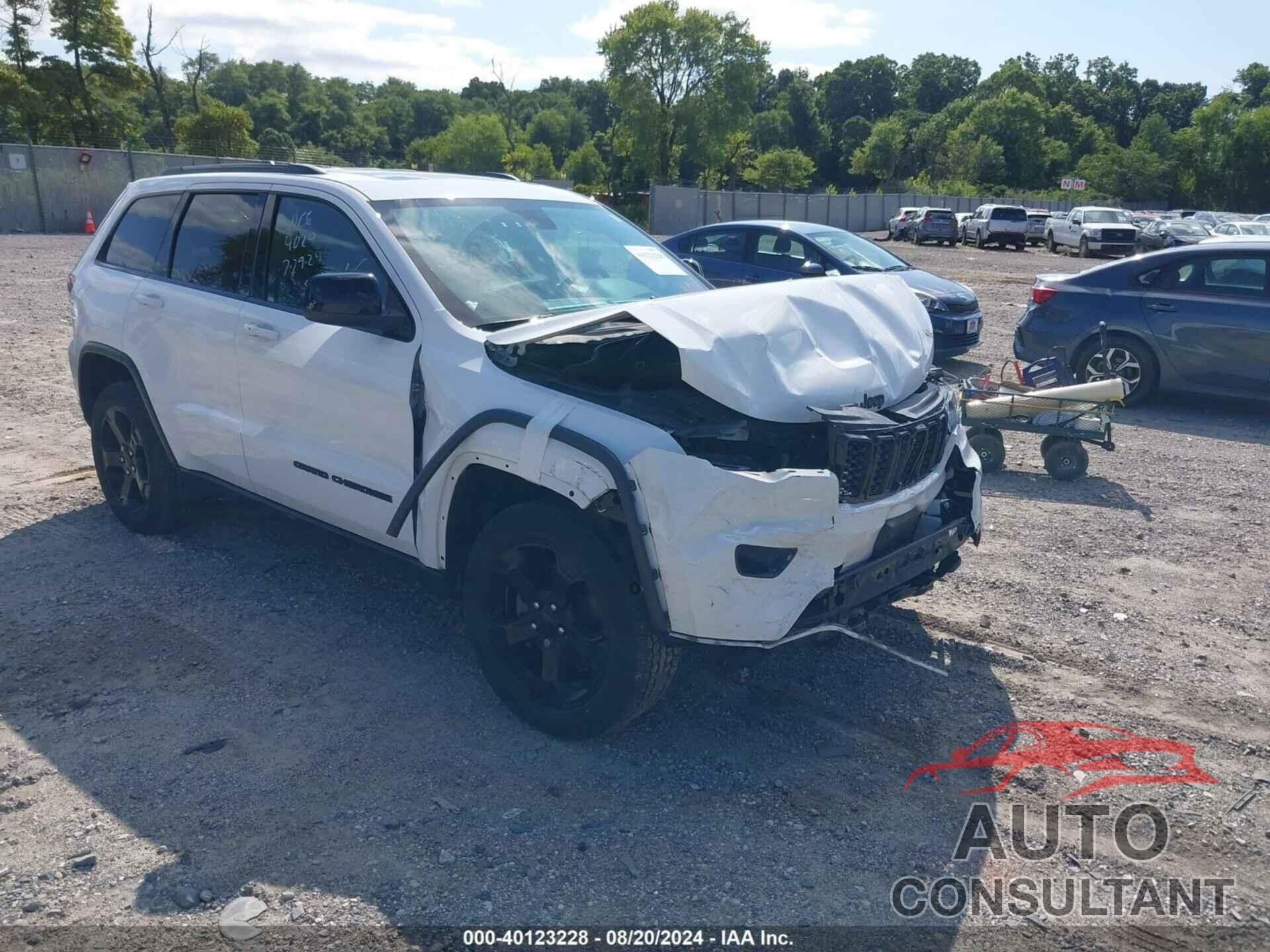 JEEP GRAND CHEROKEE 2019 - 1C4RJFAG7KC730394