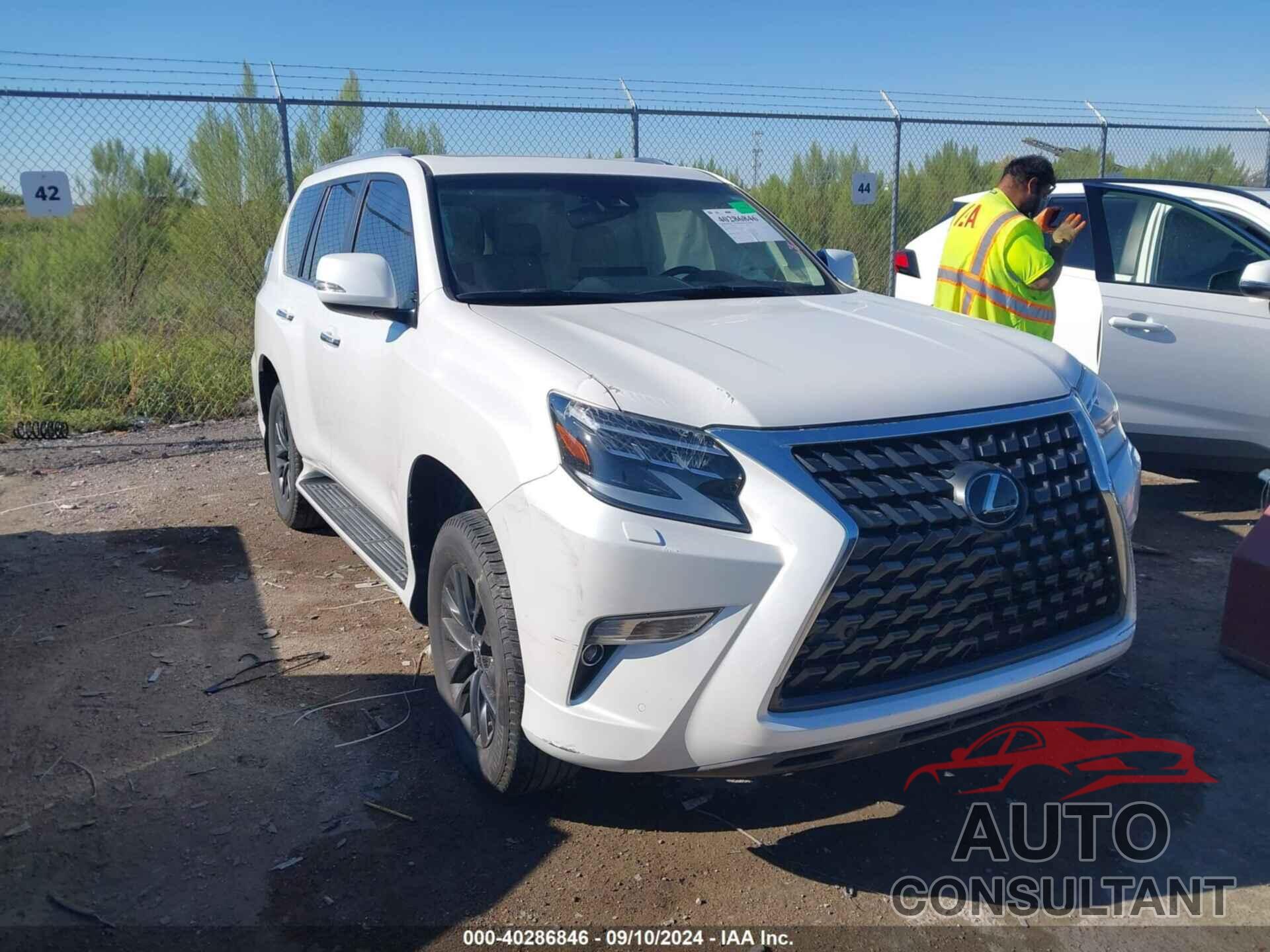 LEXUS 460 2023 - JTJAM7BX2P5355015