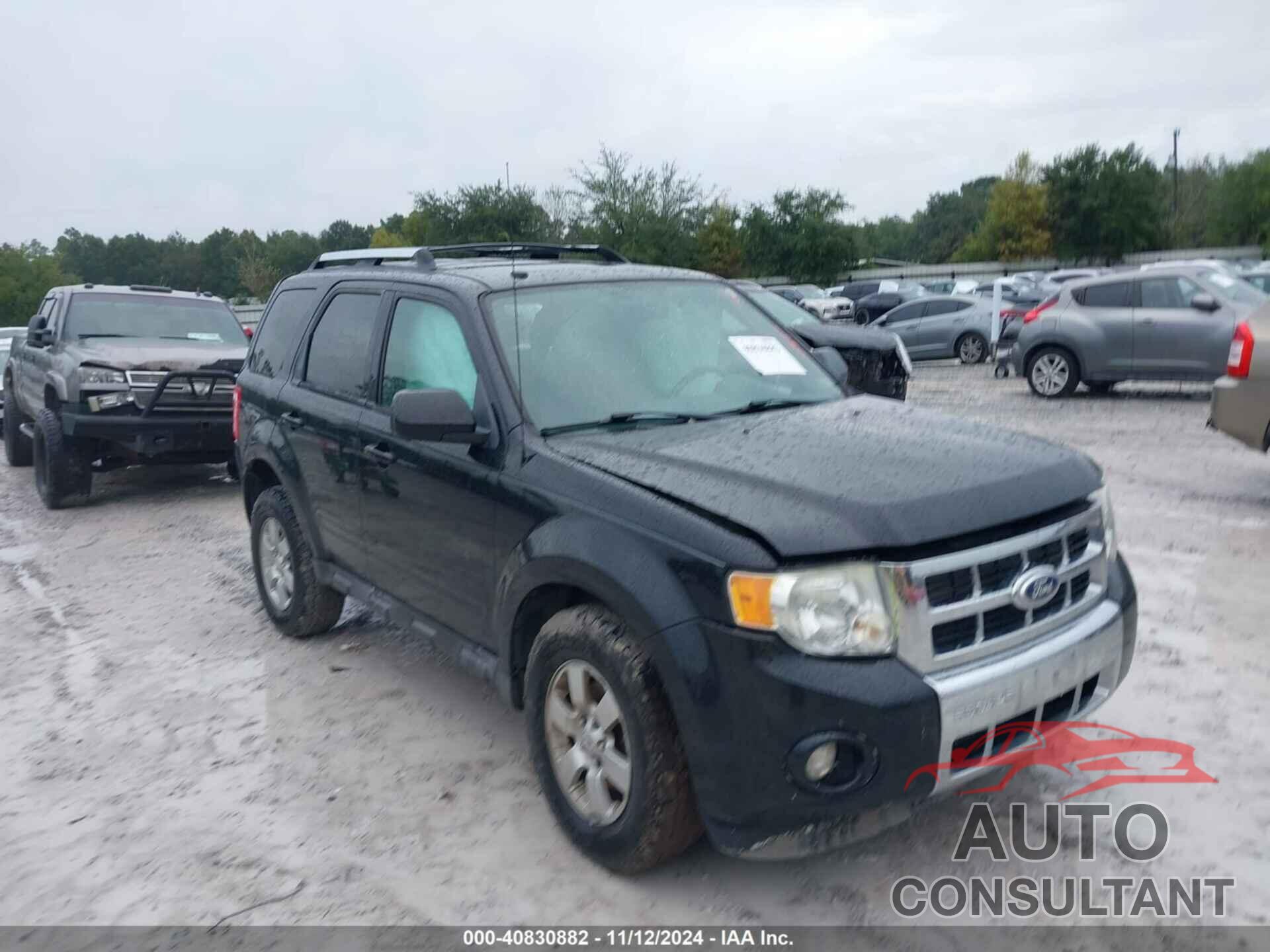 FORD ESCAPE 2010 - 1FMCU9EG4AKC15779