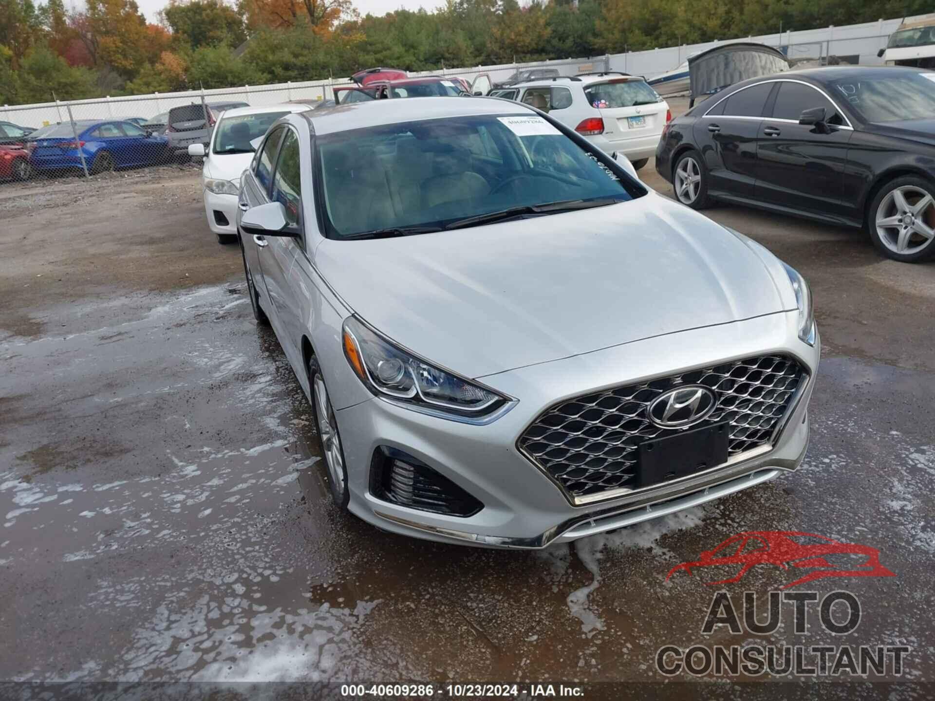 HYUNDAI SONATA 2019 - 5NPE34AF9KH780674