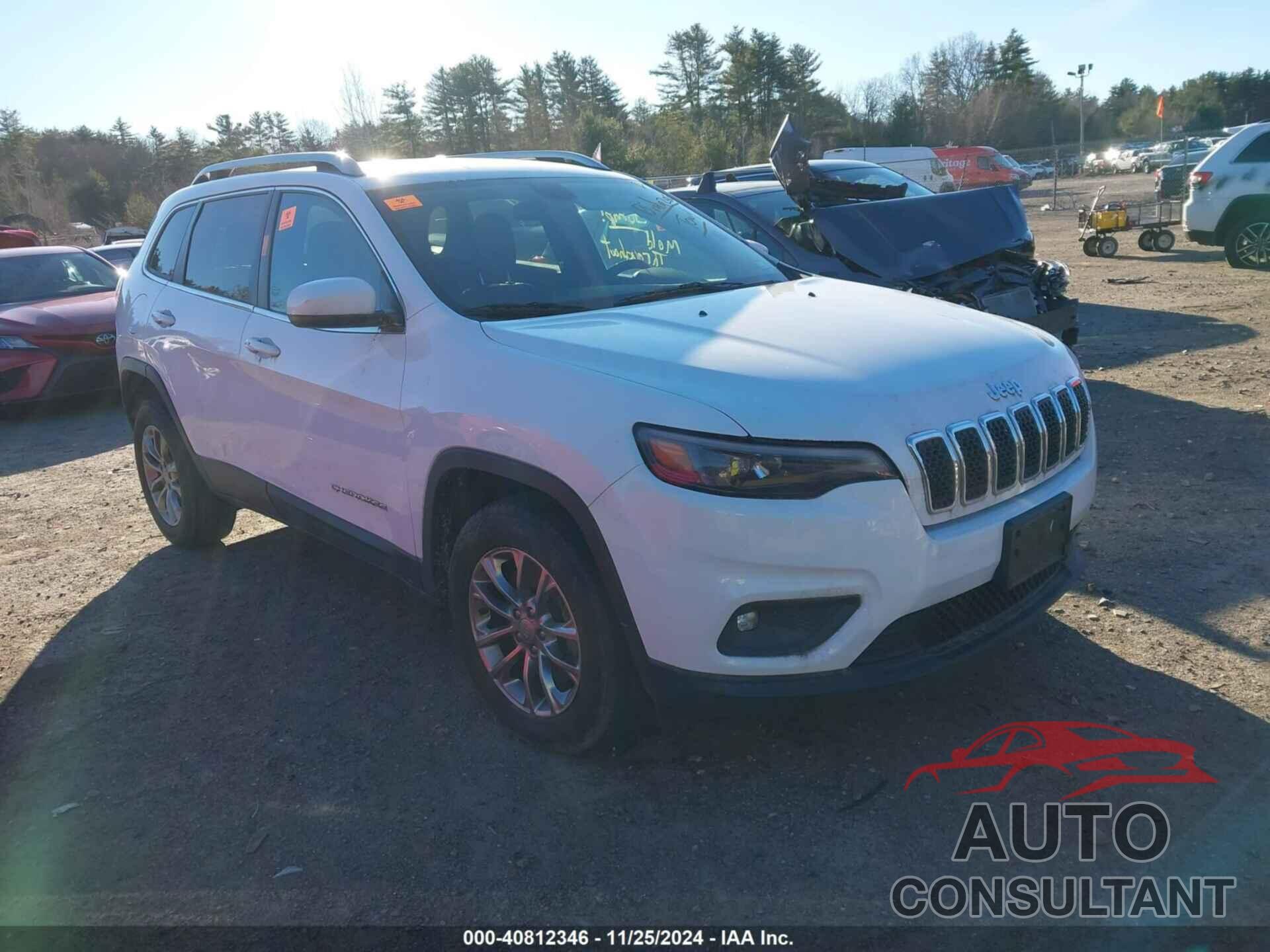 JEEP CHEROKEE 2019 - 1C4PJMLB5KD394834