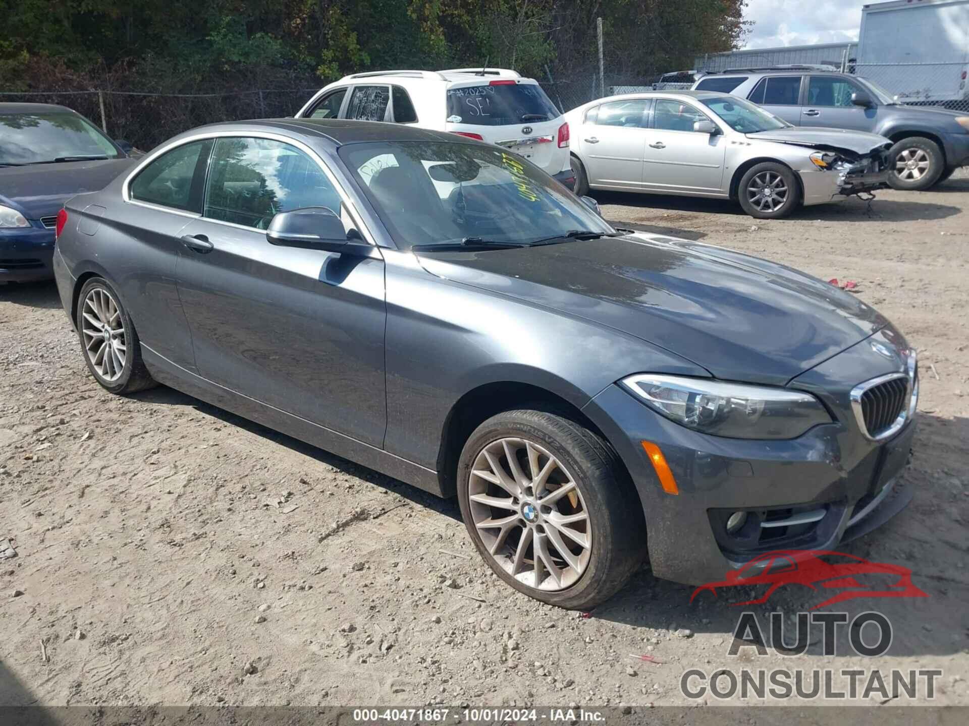 BMW 228I 2016 - WBA1G9C5XGV599379