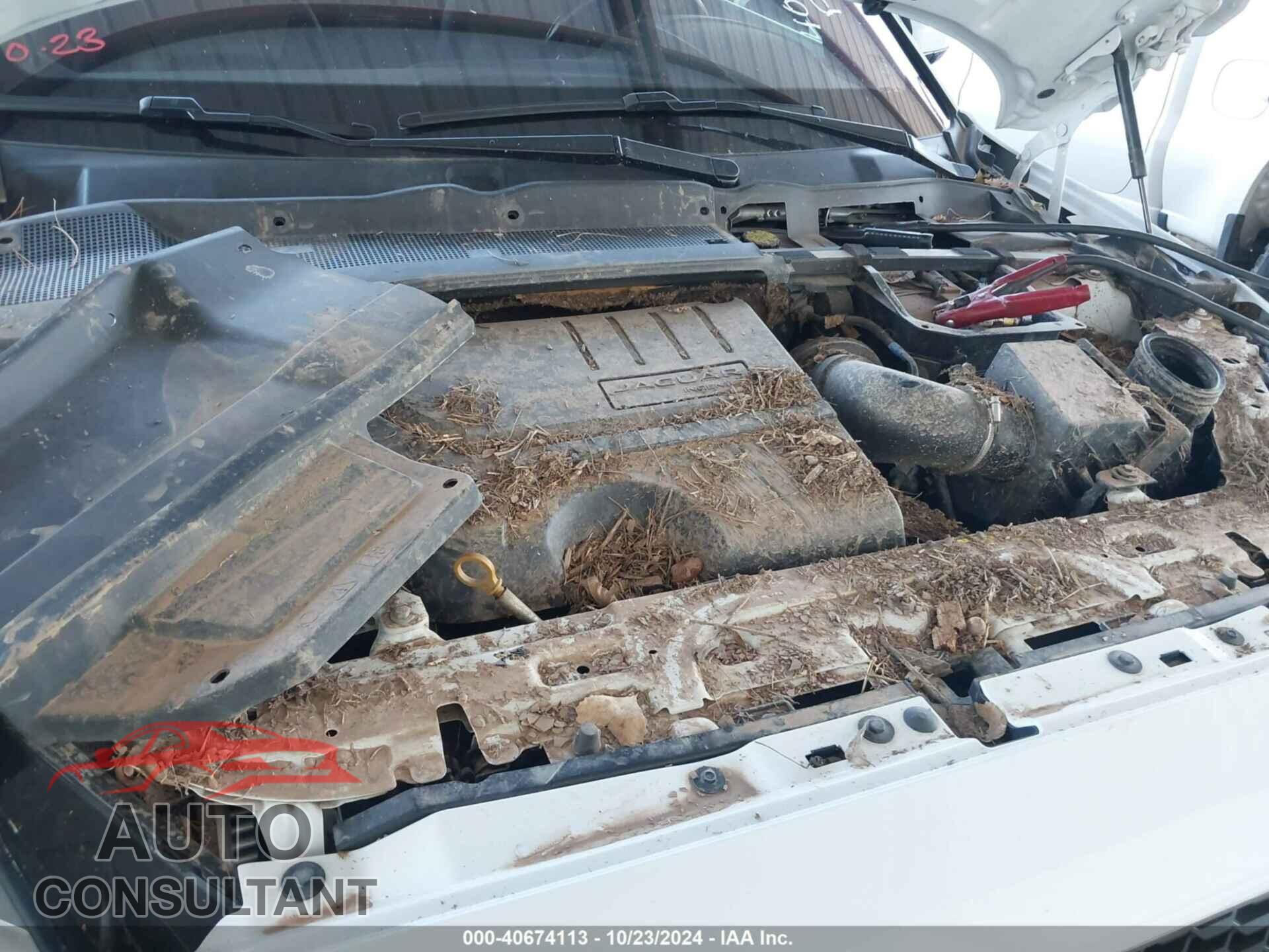 JAGUAR E-PACE 2019 - SADFP2FX8K1Z46709