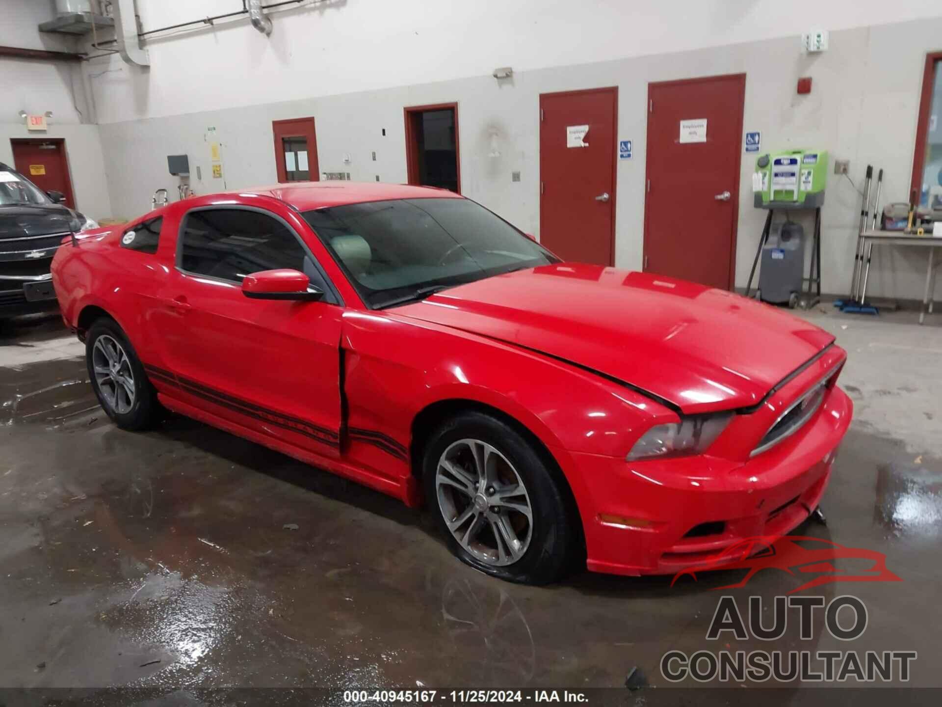 FORD MUSTANG 2014 - 1ZVBP8AMXE5265097