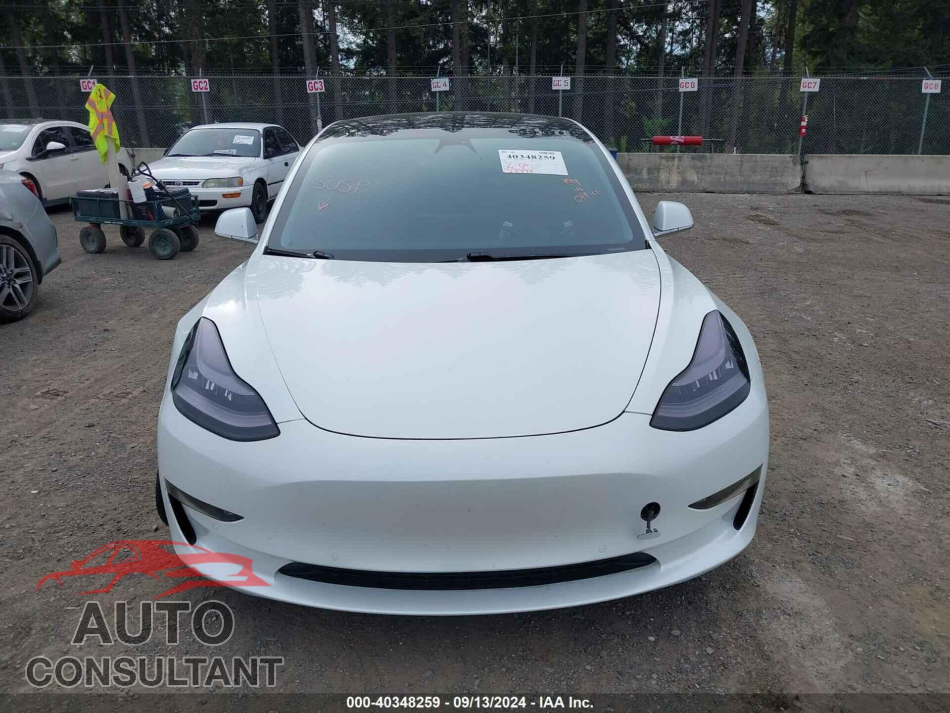 TESLA MODEL 3 2020 - 5YJ3E1EA3LF612446