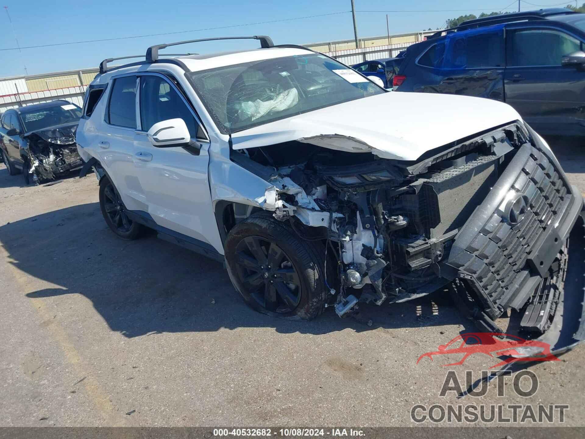 HYUNDAI PALISADE 2024 - KM8R34GE8RU763814