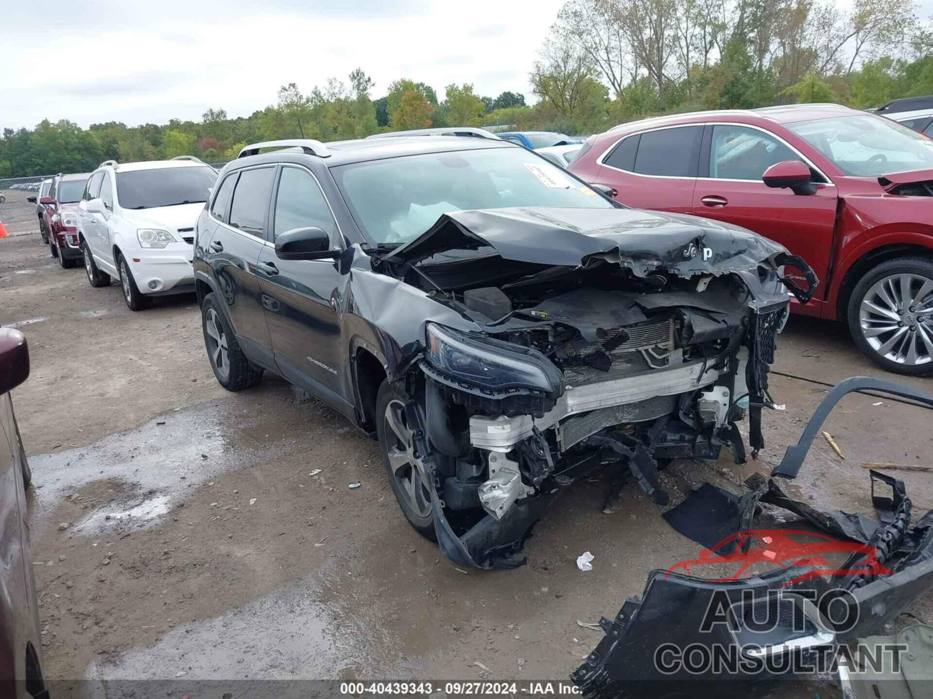 JEEP CHEROKEE 2019 - 1C4PJMDX7KD394330