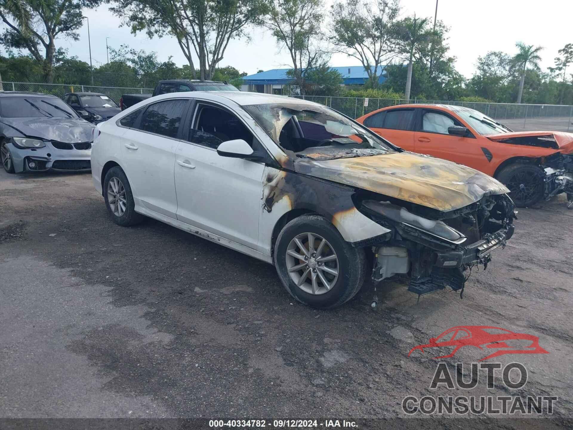 HYUNDAI SONATA 2019 - 5NPE24AF2KH791289