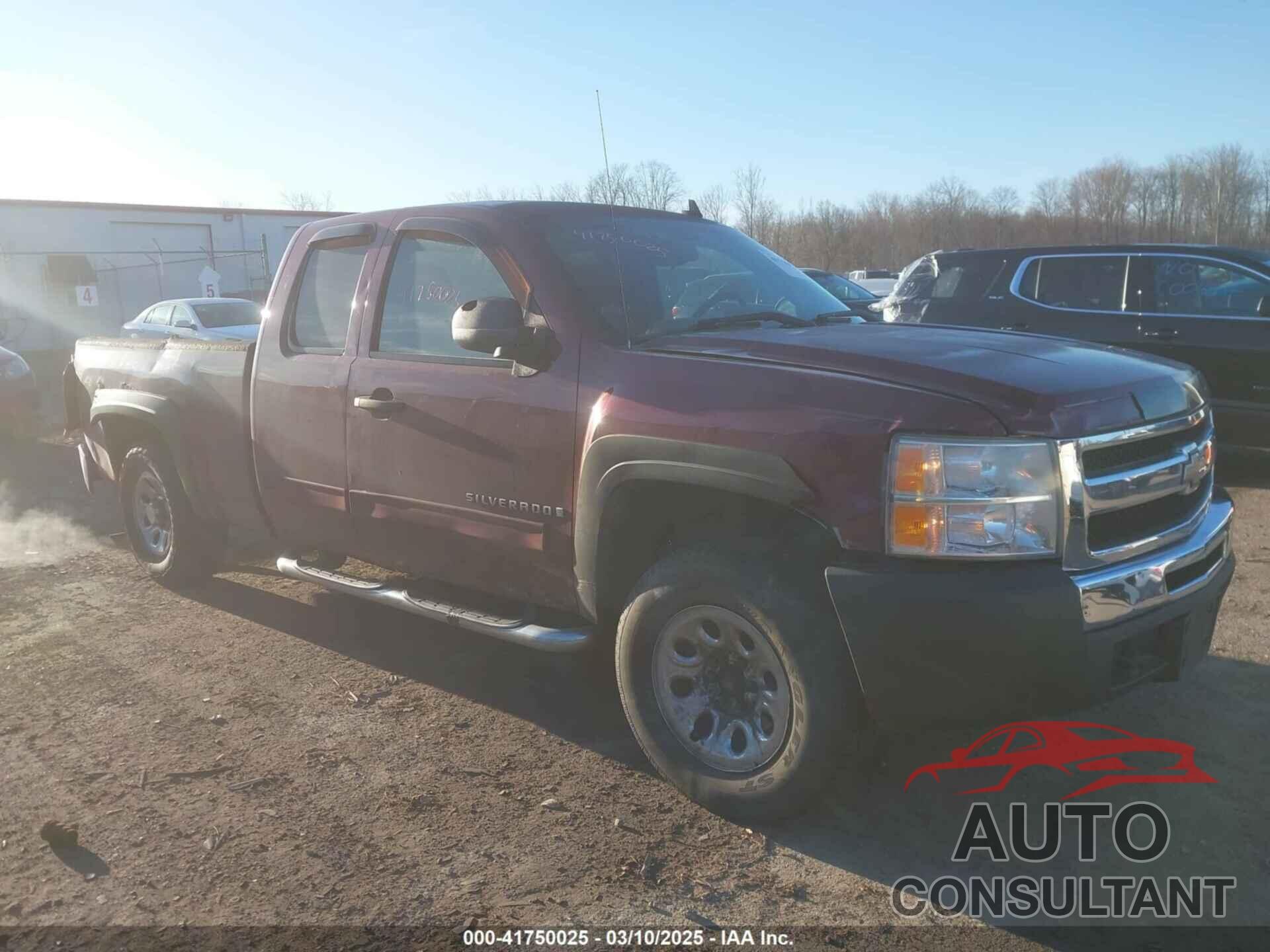 CHEVROLET SILVERADO 1500 2009 - 1GCEK19C59Z213179
