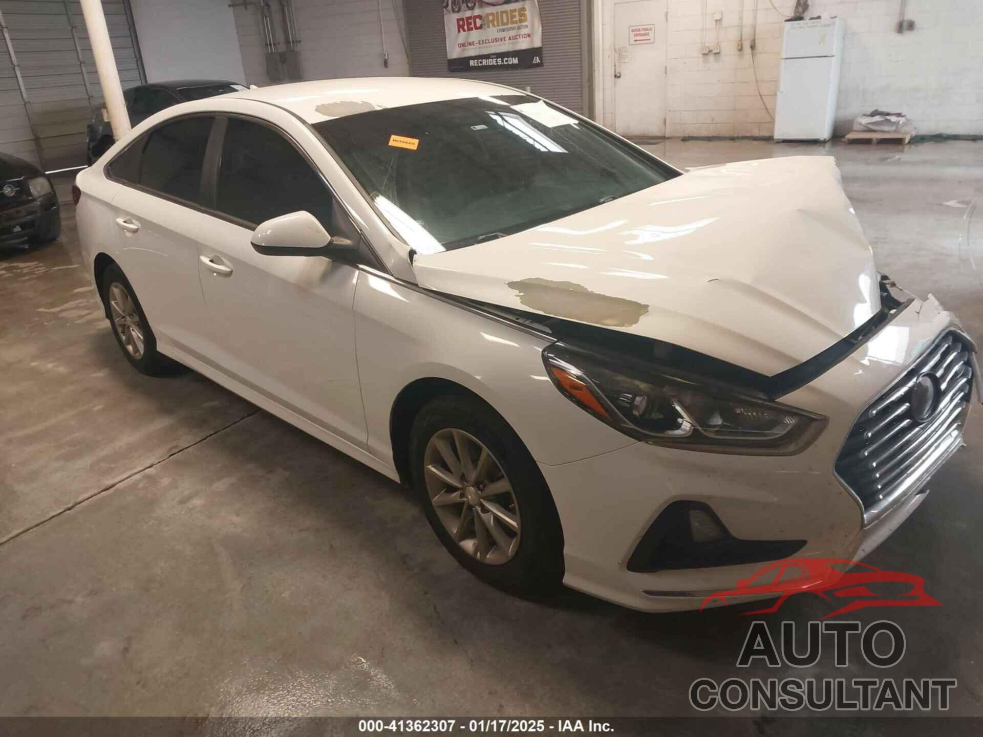 HYUNDAI SONATA 2019 - 5NPE24AF7KH740998