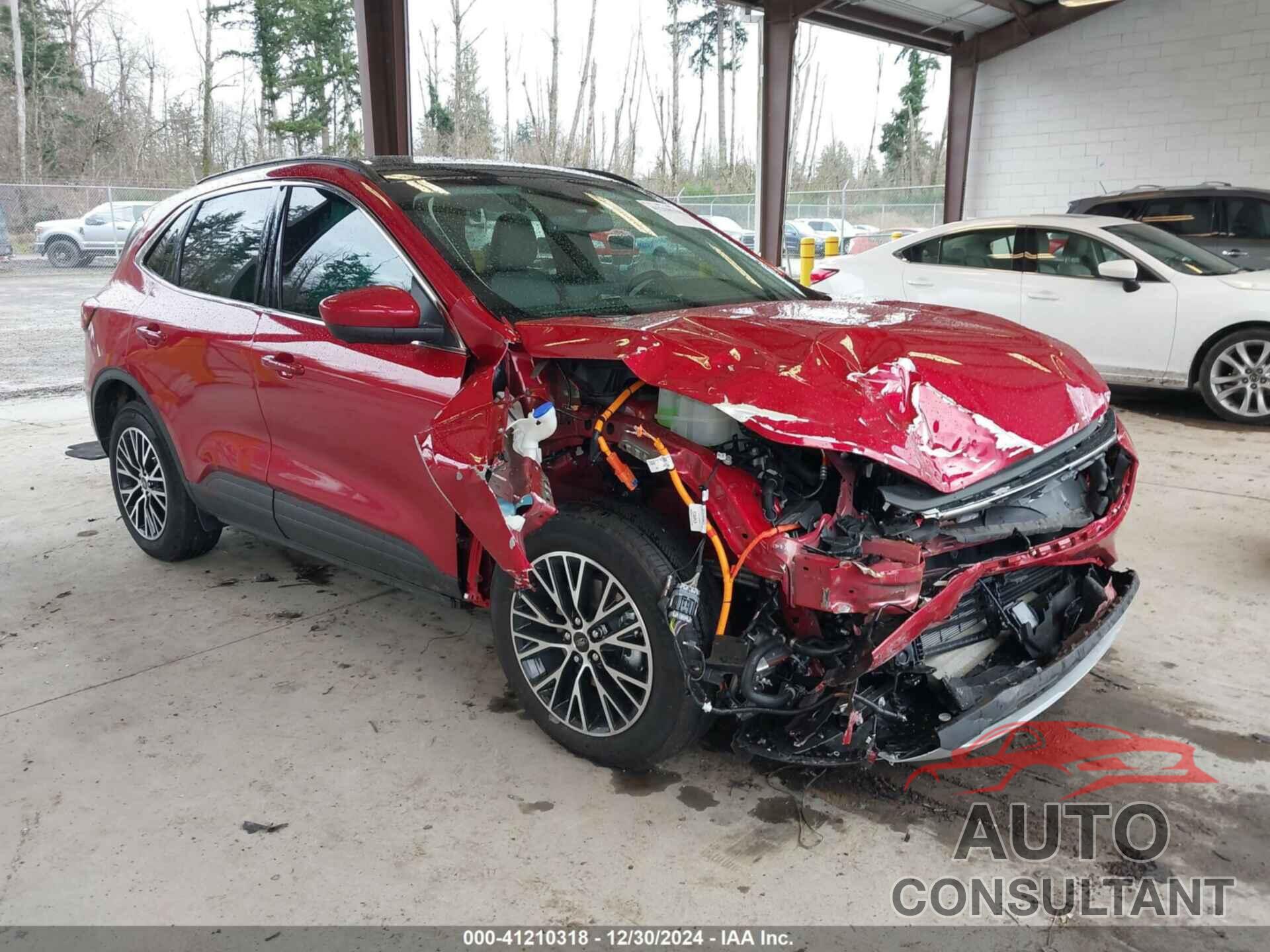FORD ESCAPE 2024 - 1FMCU0E15RUB28903