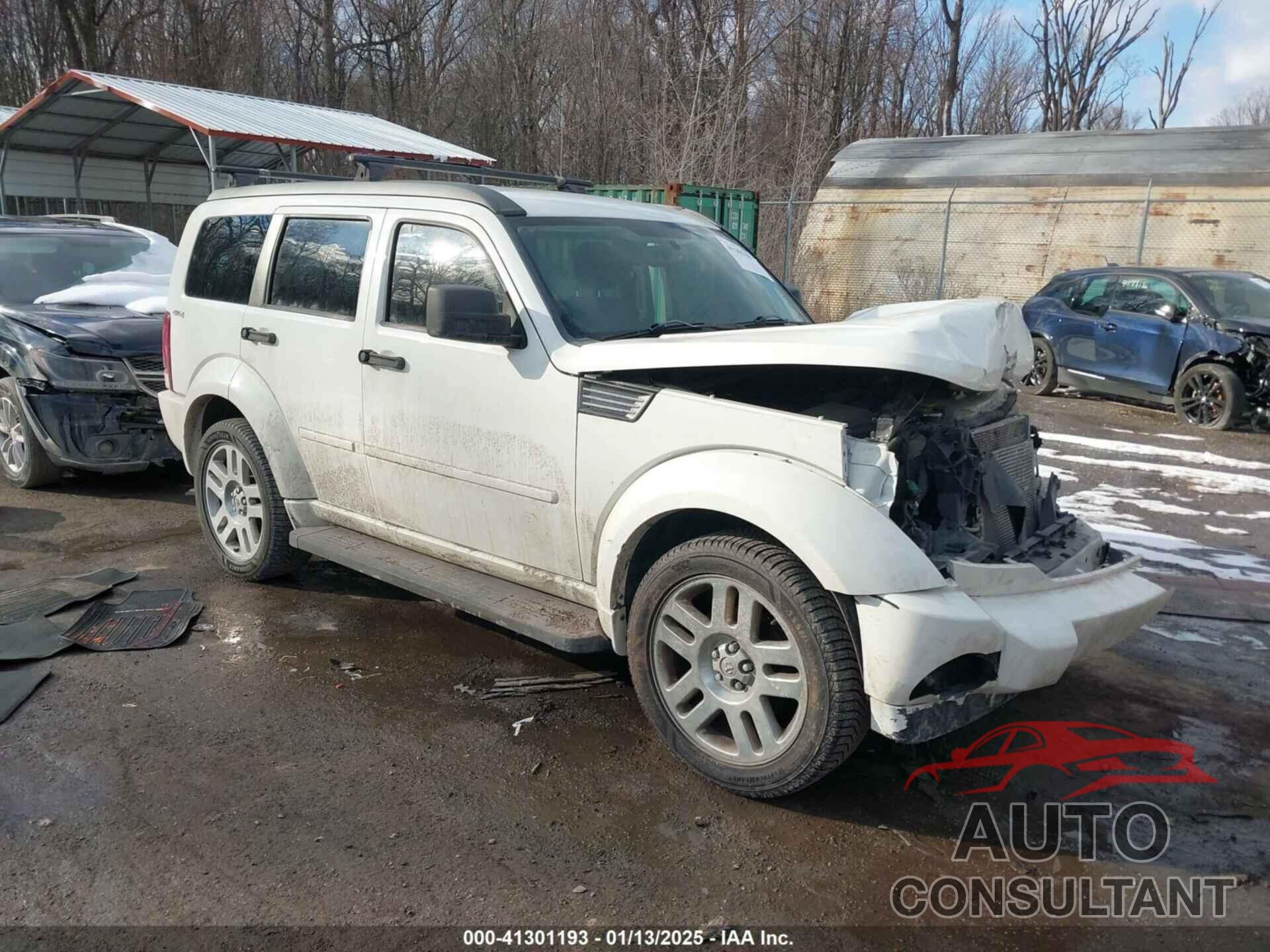 DODGE NITRO 2010 - 1D4PU6GX6AW158739