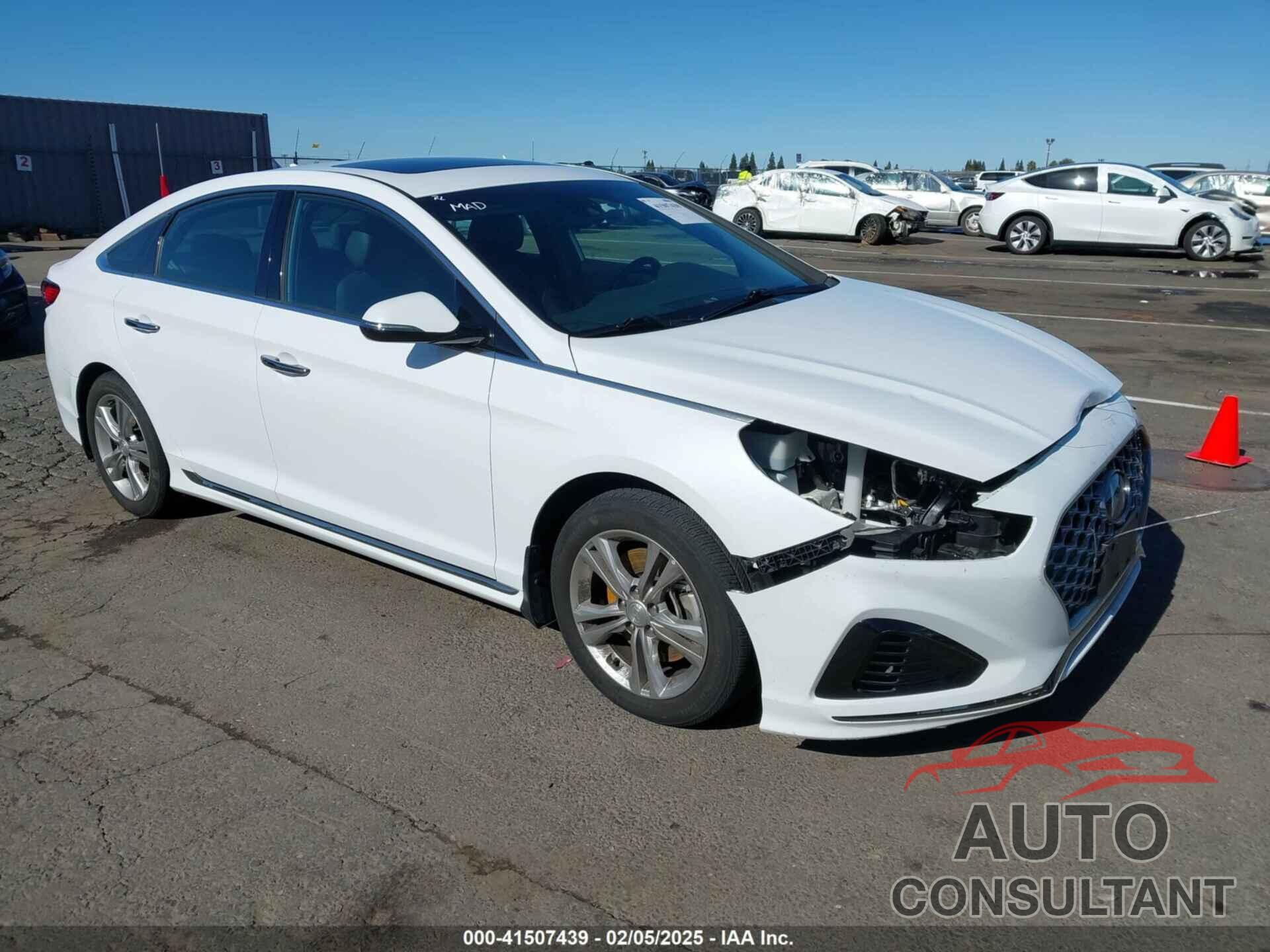 HYUNDAI SONATA 2019 - 5NPE34AFXKH766069