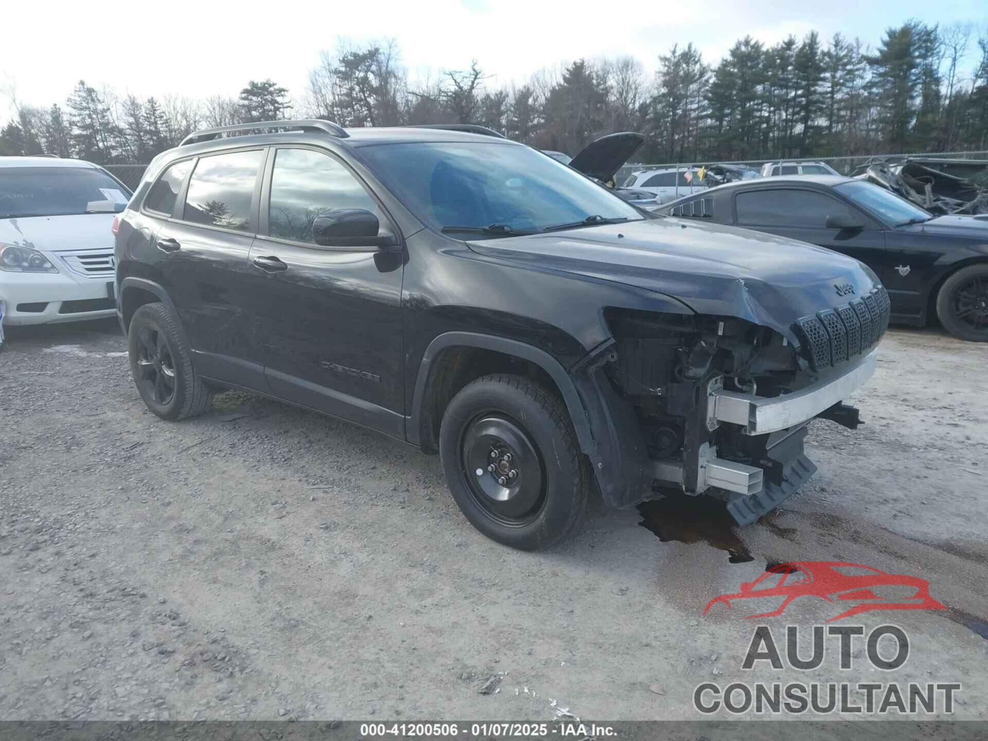 JEEP CHEROKEE 2019 - 1C4PJMLB6KD292961