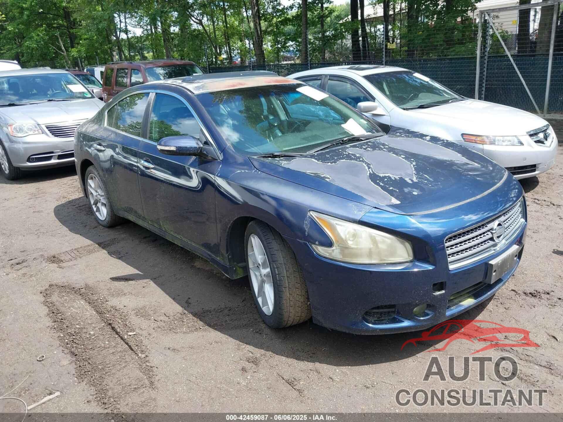 NISSAN MAXIMA 2009 - 1N4AA51E09C859437