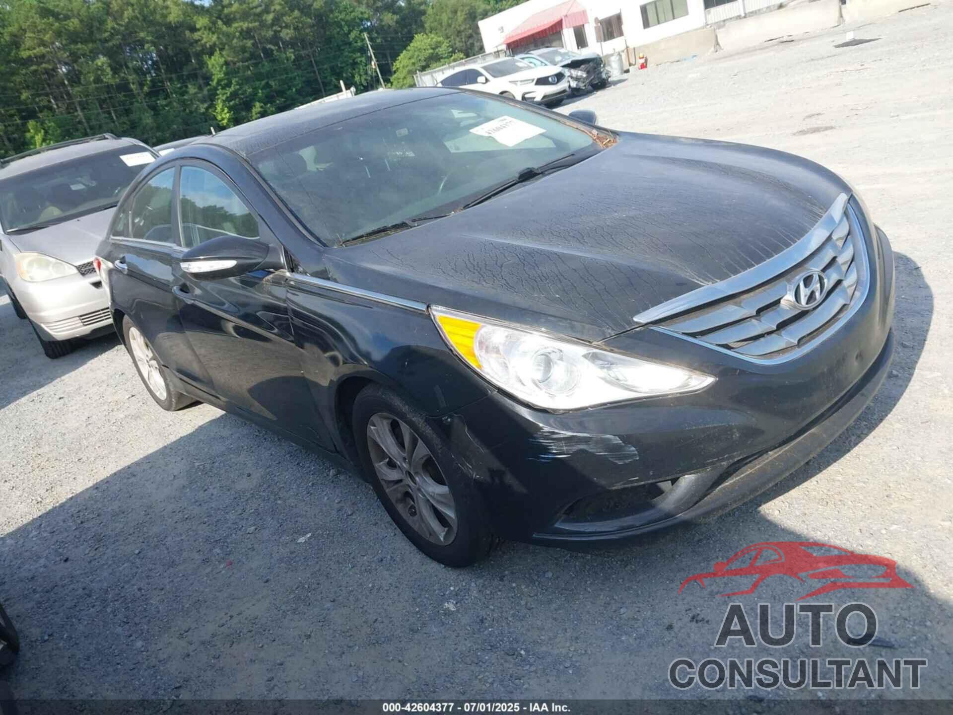 HYUNDAI SONATA 2013 - 5NPEC4AC5DH567326