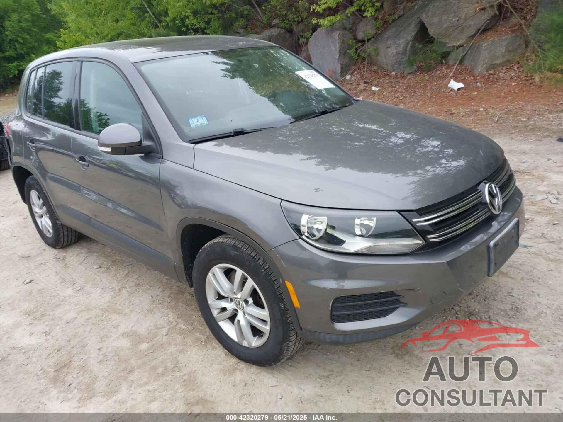 VOLKSWAGEN TIGUAN 2013 - WVGBV3AX9DW088326
