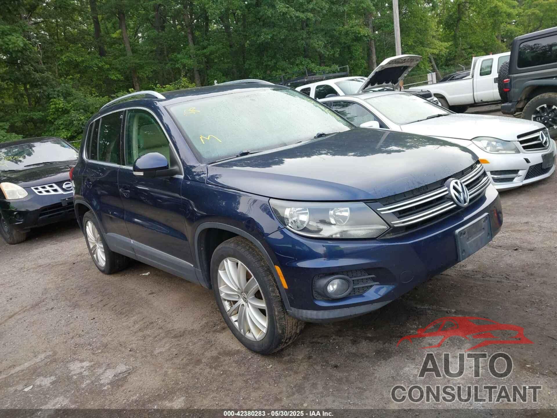 VOLKSWAGEN TIGUAN 2013 - WVGAV3AX3DW561245